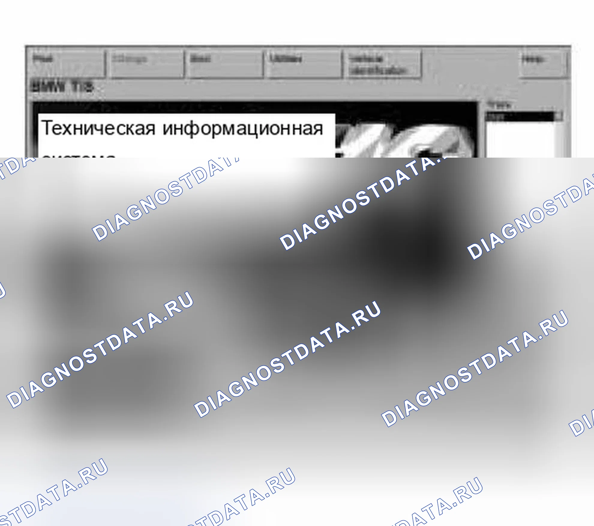 Рис. 622: Идентификация СДП. BMW X5 E53