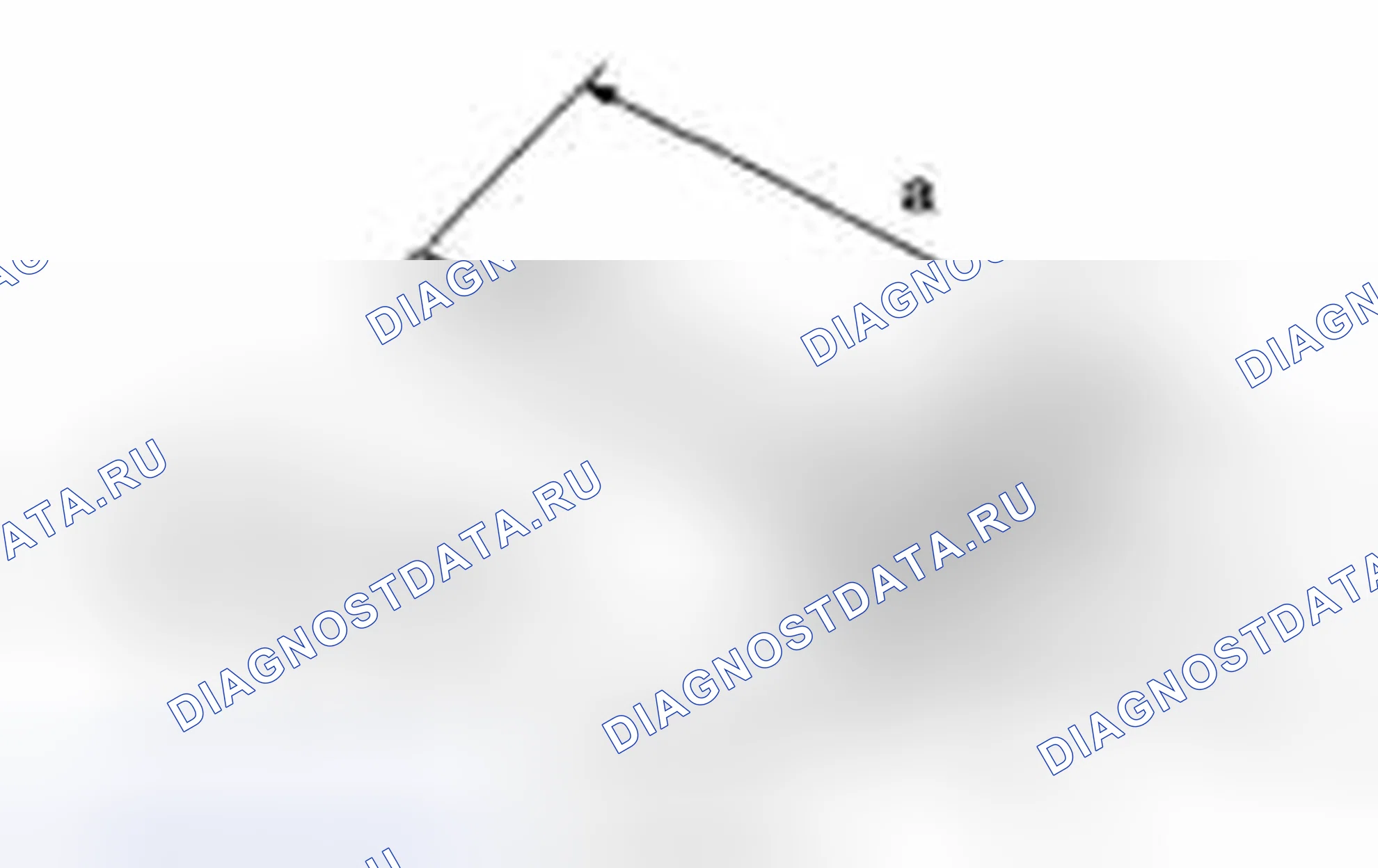 Рис. 135. Suzuki Equator I