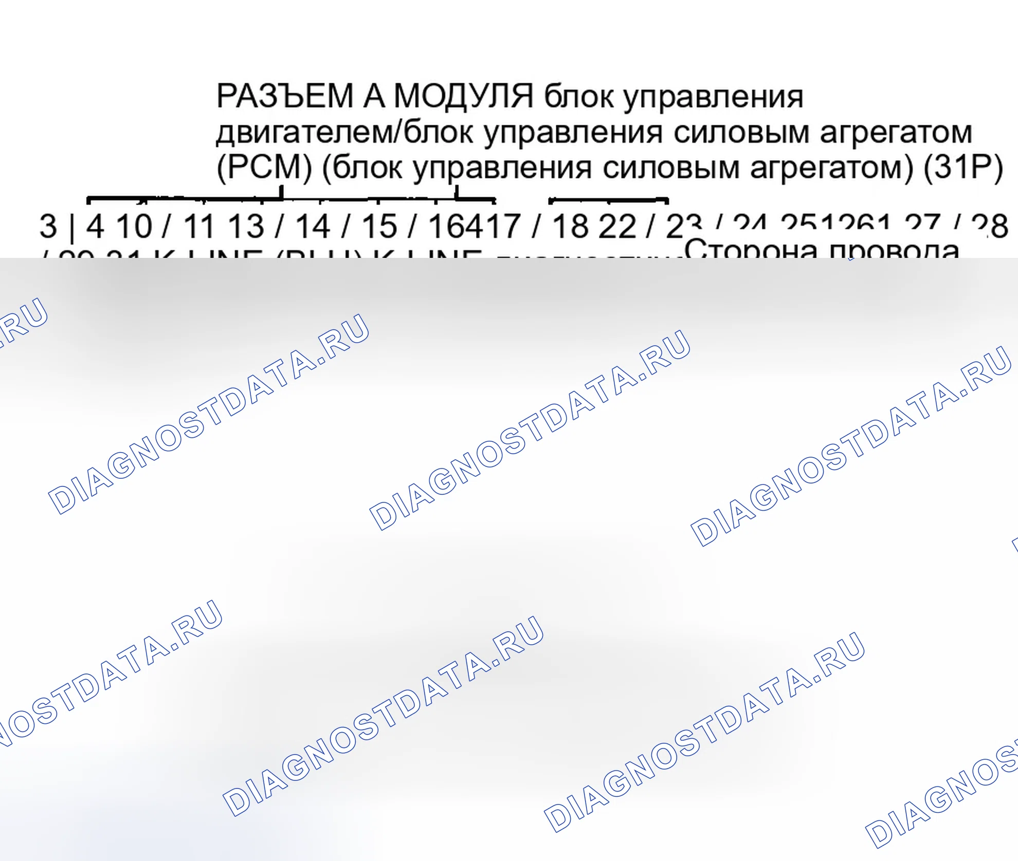 Рис. 495. Honda Accord VII рестайлинг