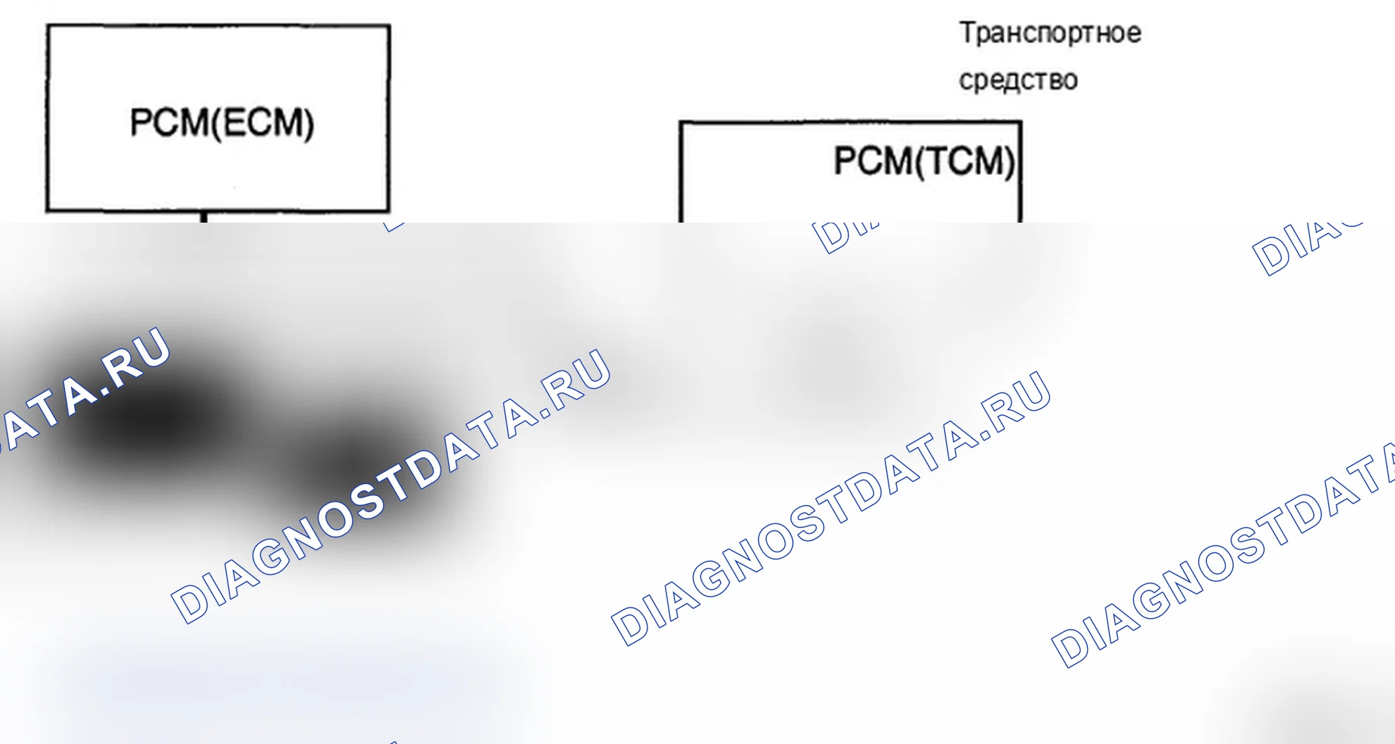Рис. 3: ВАРИАНТНОЕ КОДИРОВАНИЕ. Hyundai Santa Fe II