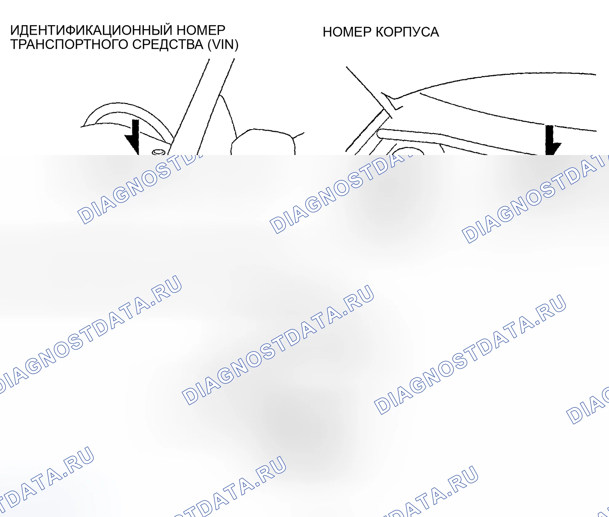 Рис. 54: Идентификационный номер транспортного средства (VIN), номер шасси, идентификационный номер двигателя. Mazda MPV II рестайлинг