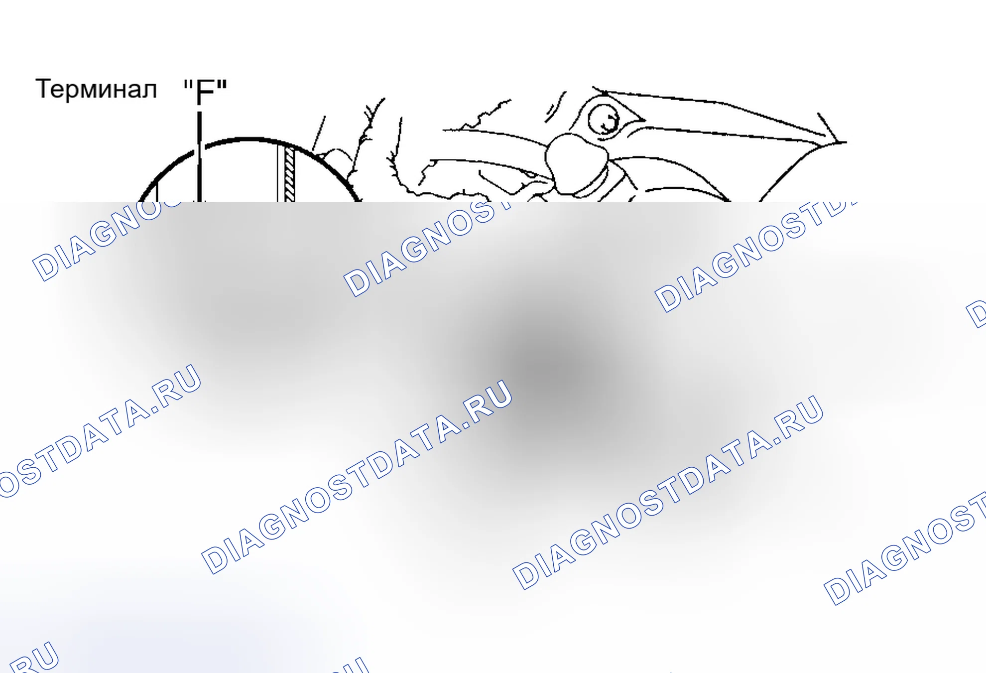 Рис. 17. Honda Accord XI