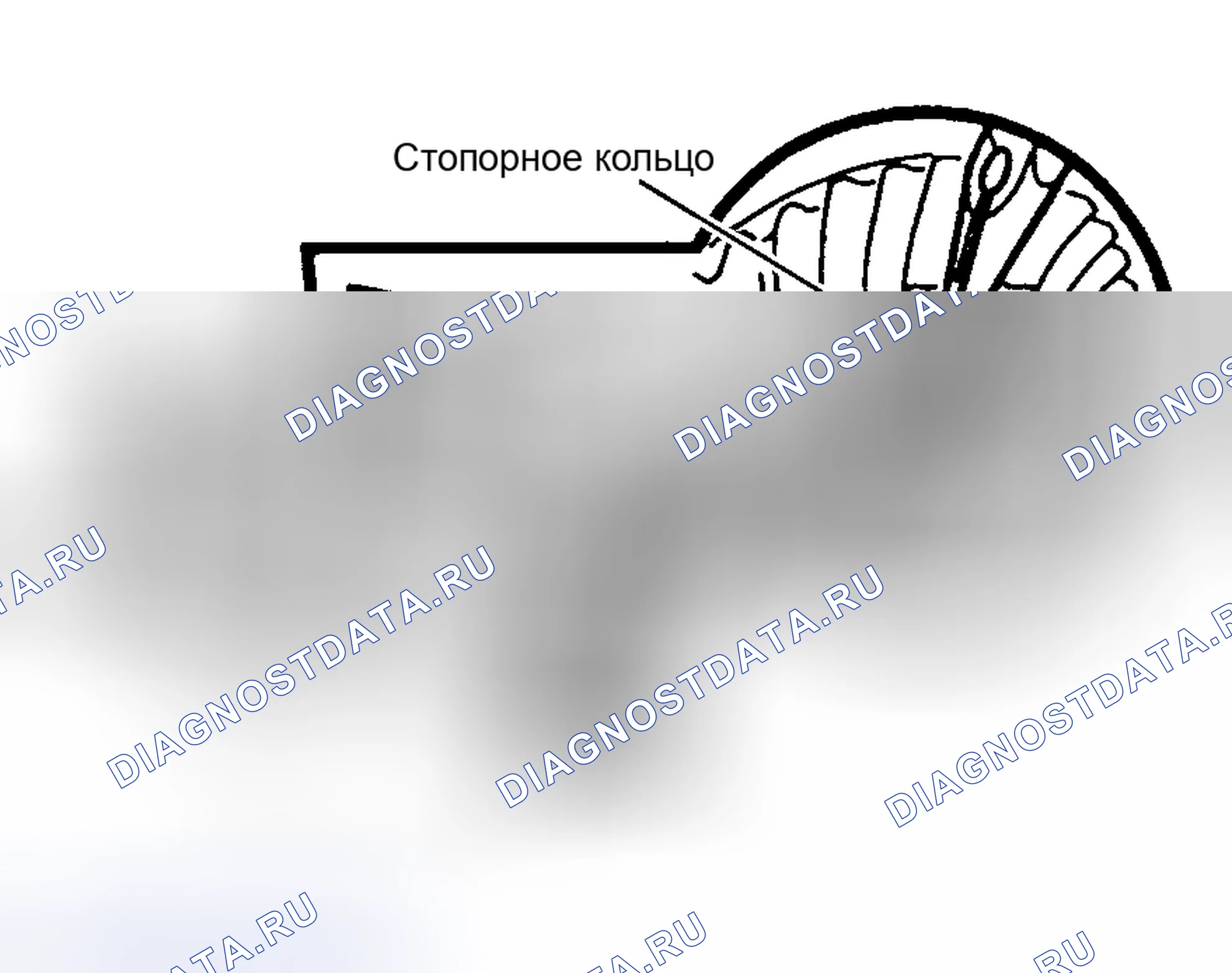 Рис. 2. Honda Accord VIII