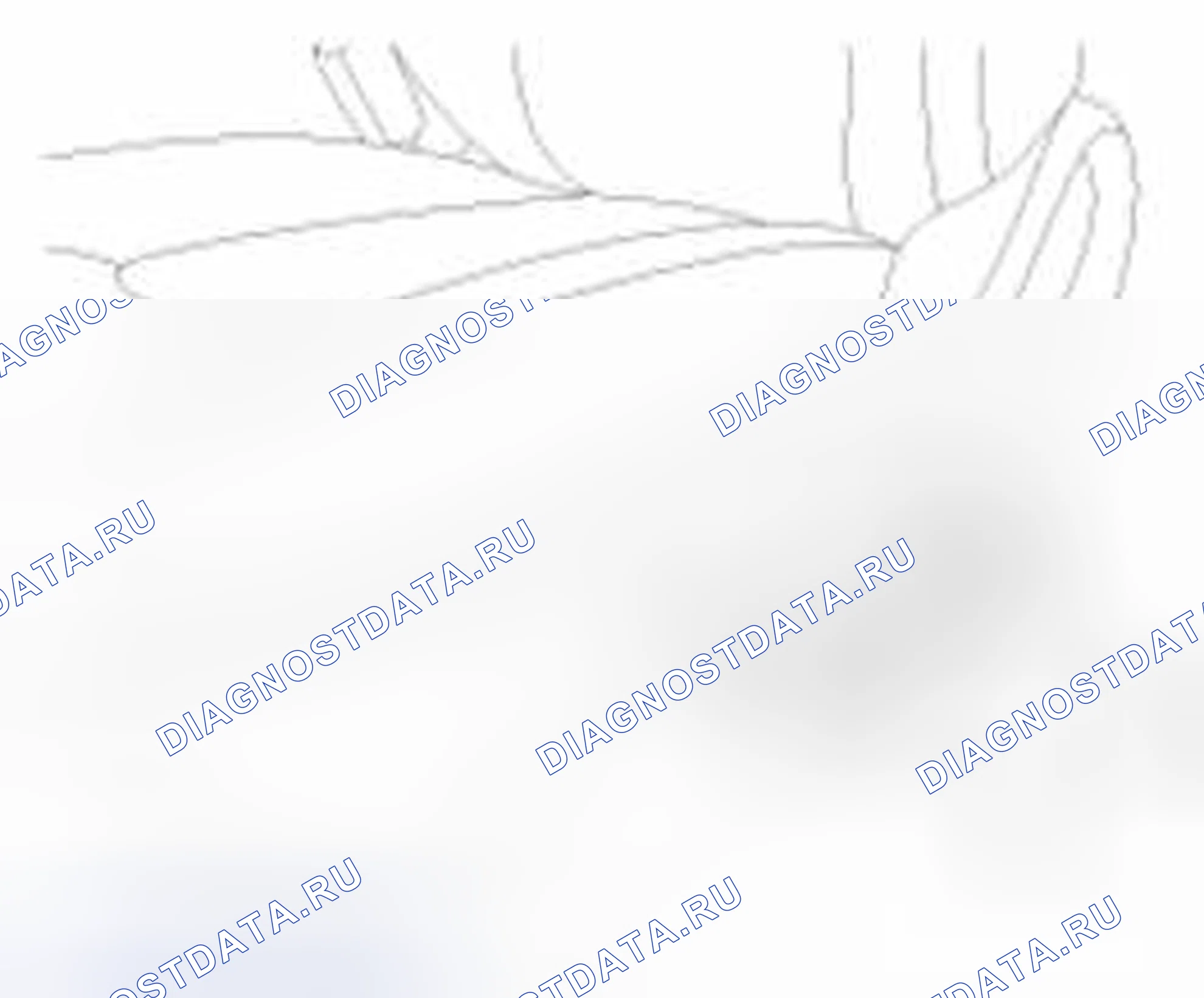 Рис. 5. Haval Beast (Shenshou) I