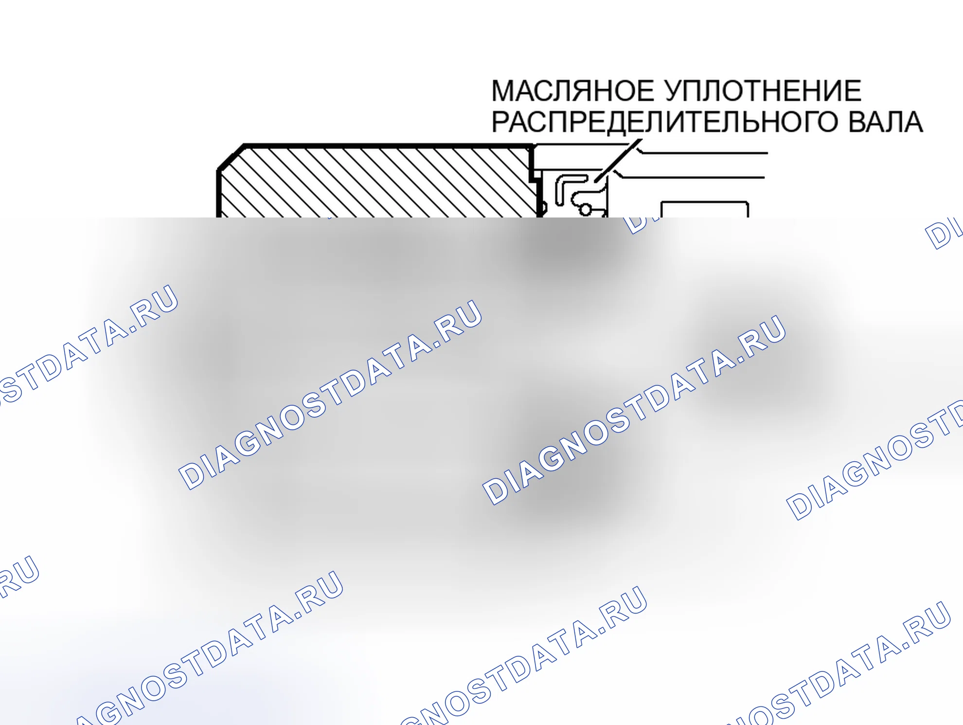 Рис. 35: > > МОНТАЖ МАСЛЯНОГО УПЛОТНЕНИЯ РАСПРЕДЕЛИТЕЛЬНОГО ВАЛА < <. Honda Freed+ I