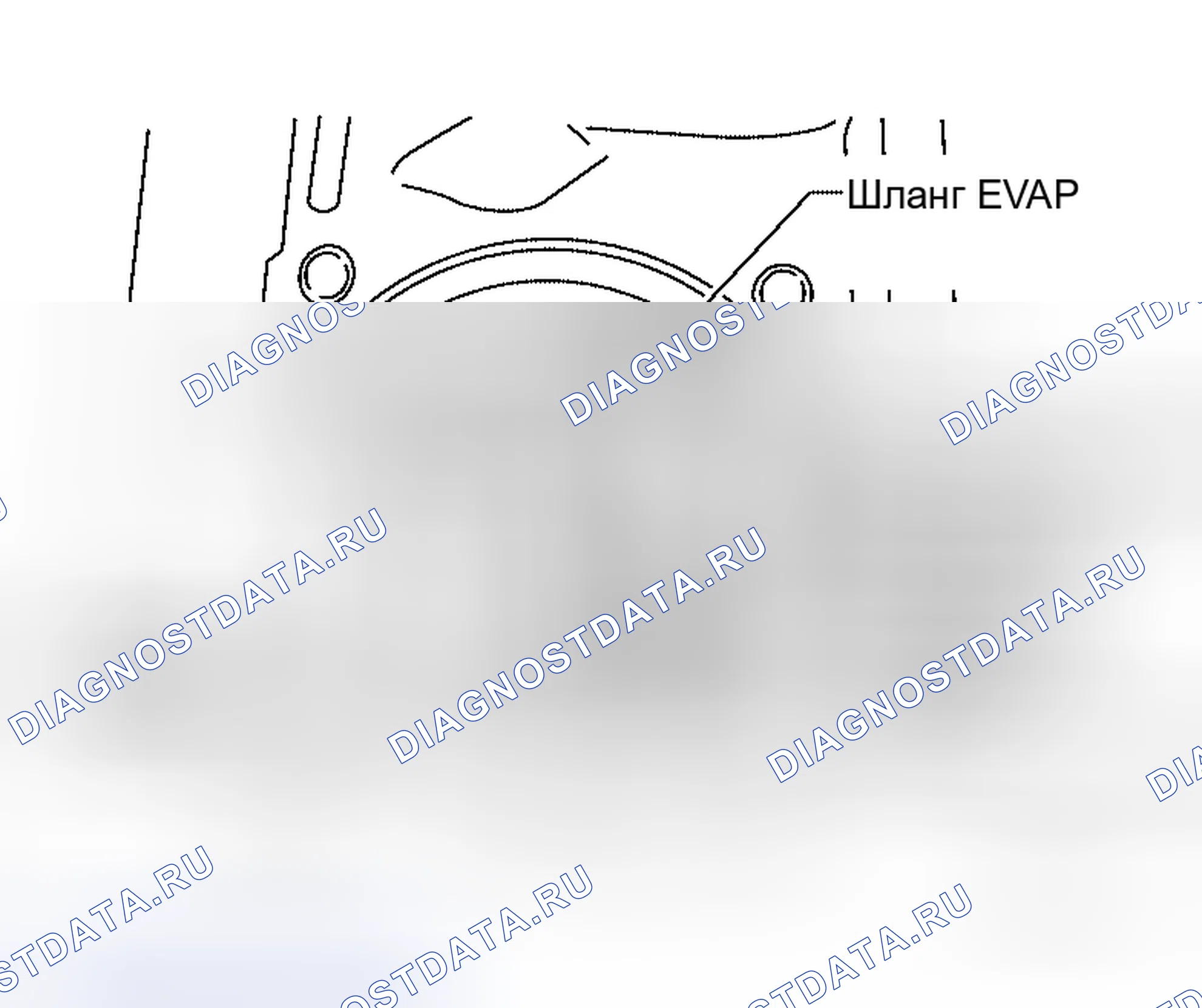 Рис. 23. Honda Mobilio Spike I