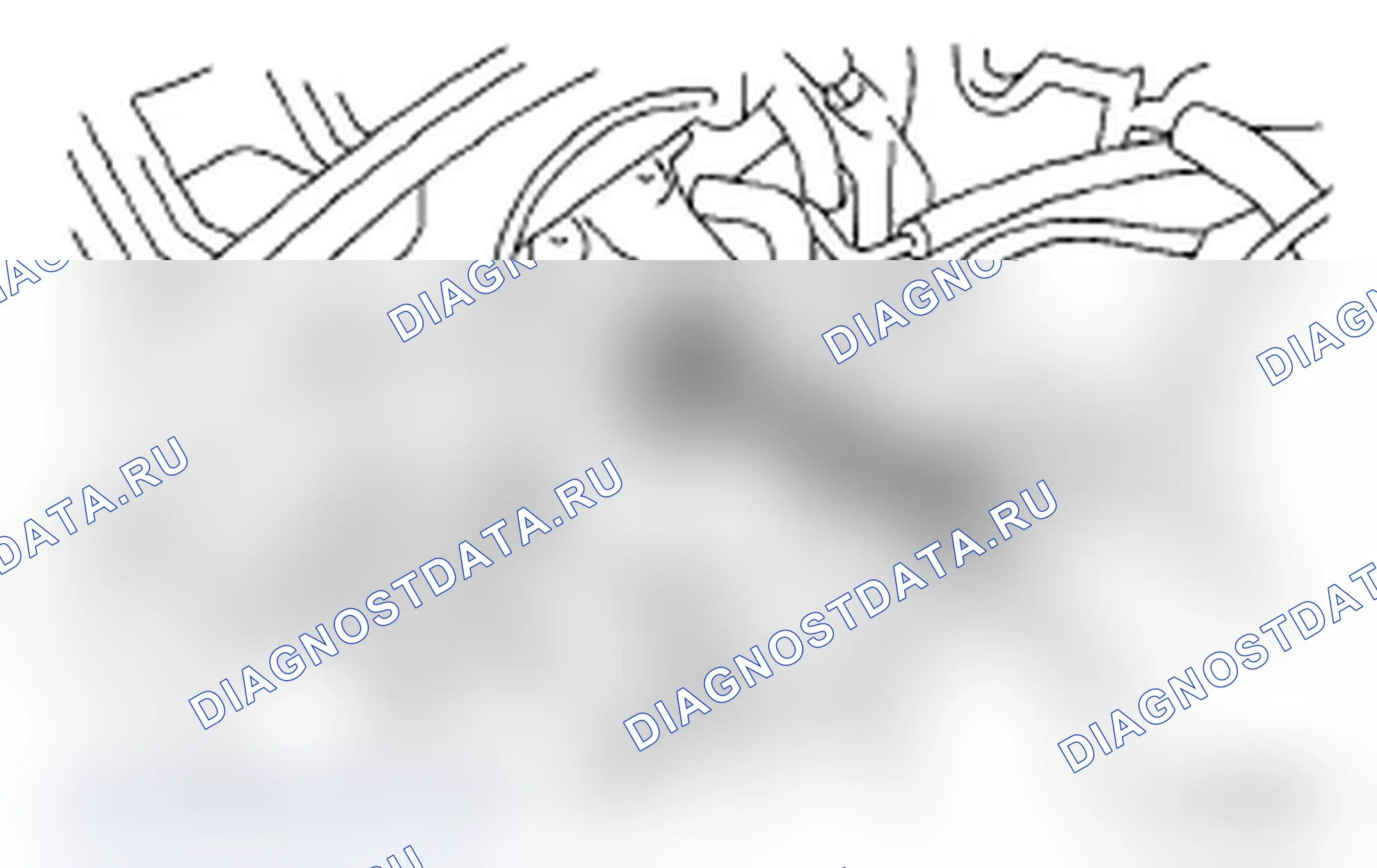 Рис. 318. Subaru Impreza WRX GH