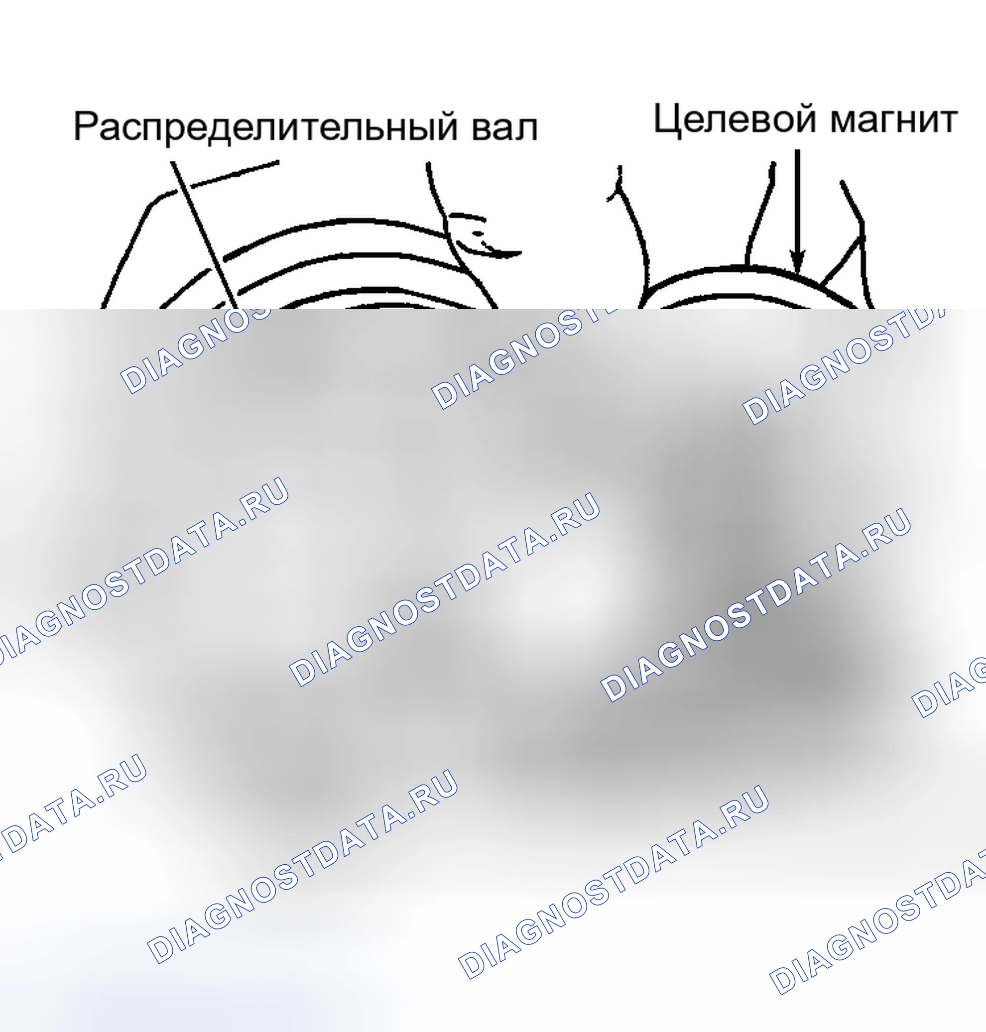 Рис. 24: Установочный кулачковый вал, целевой магнит и установочные штифты. Hyundai Veloster I