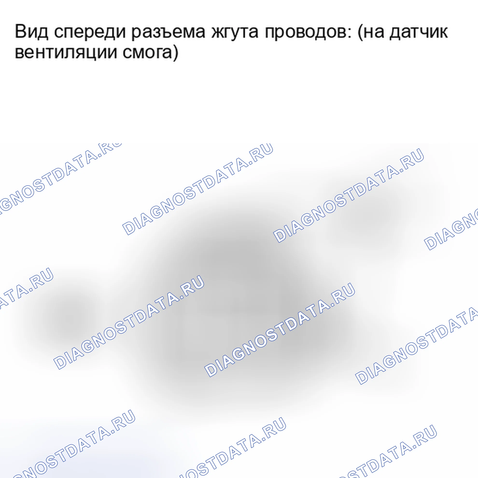 Рис. 129. Lexus IS F I