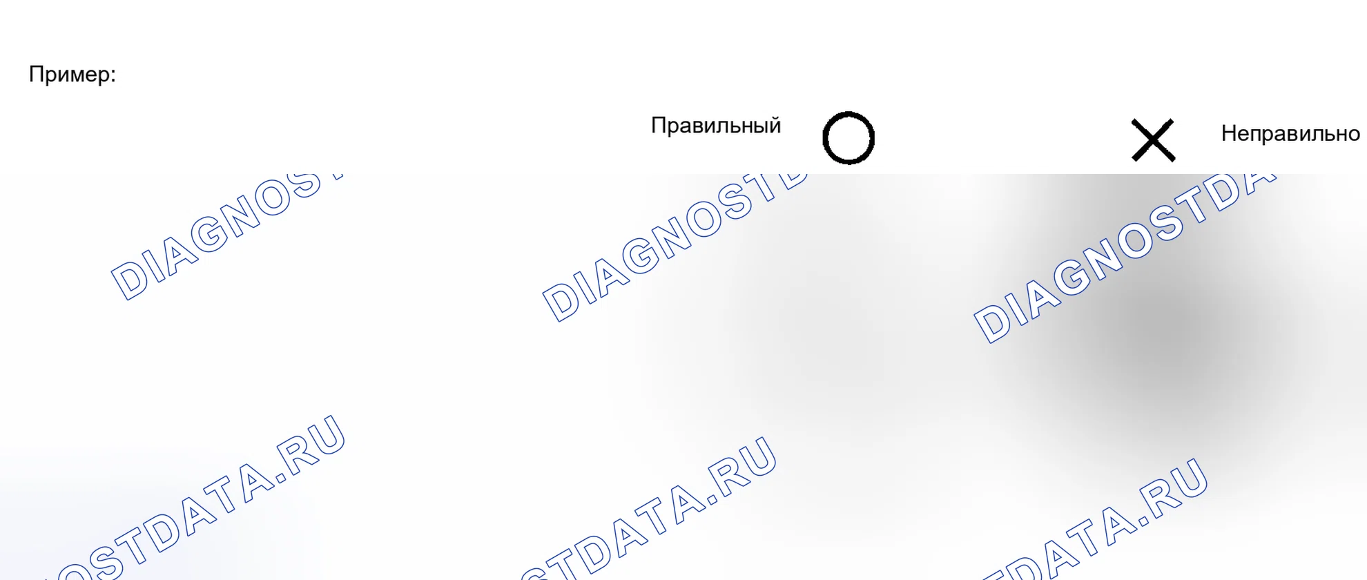 Рис. 16. Haval Xiaolong Max I