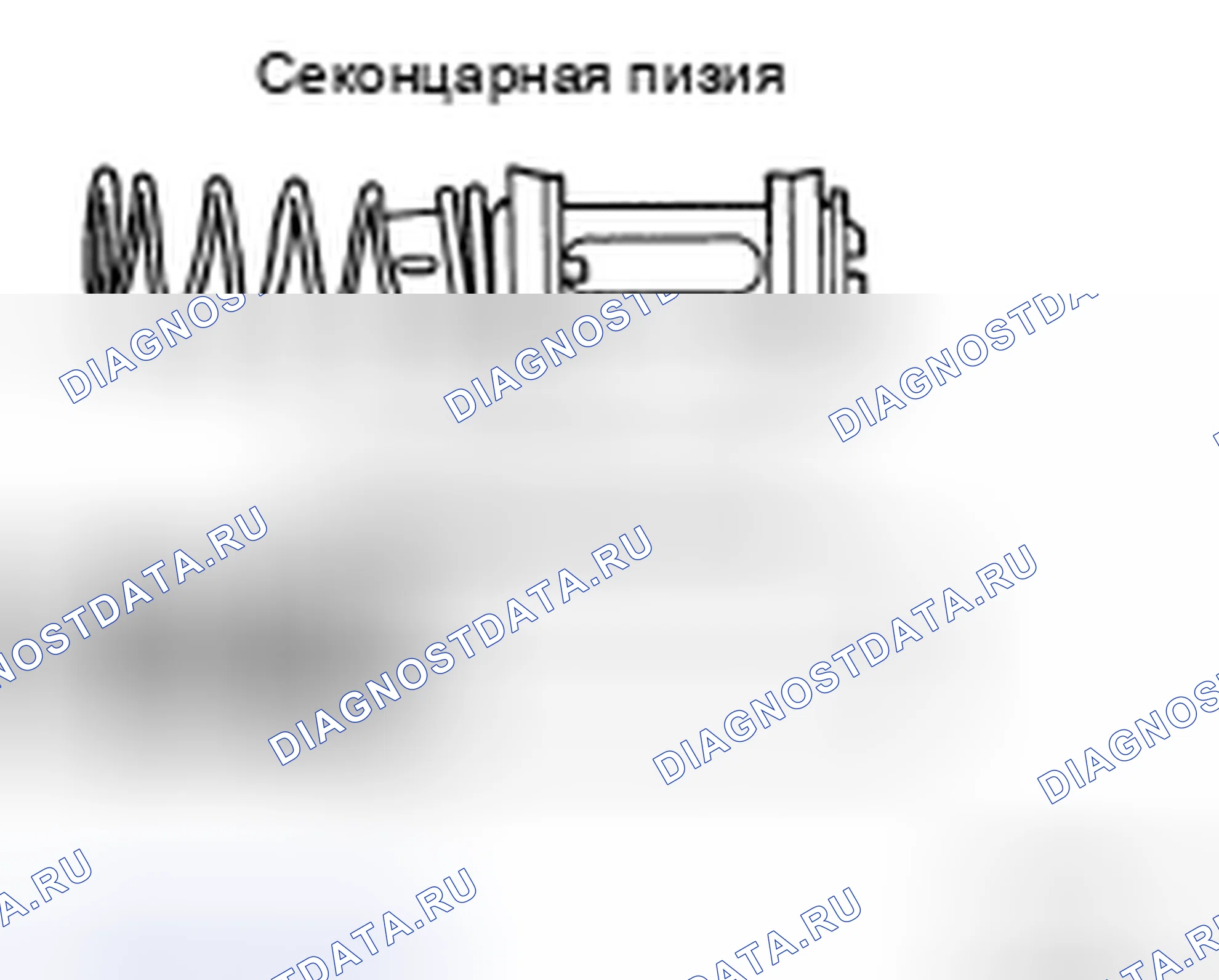 Рис. 36. Nissan X-Trail I