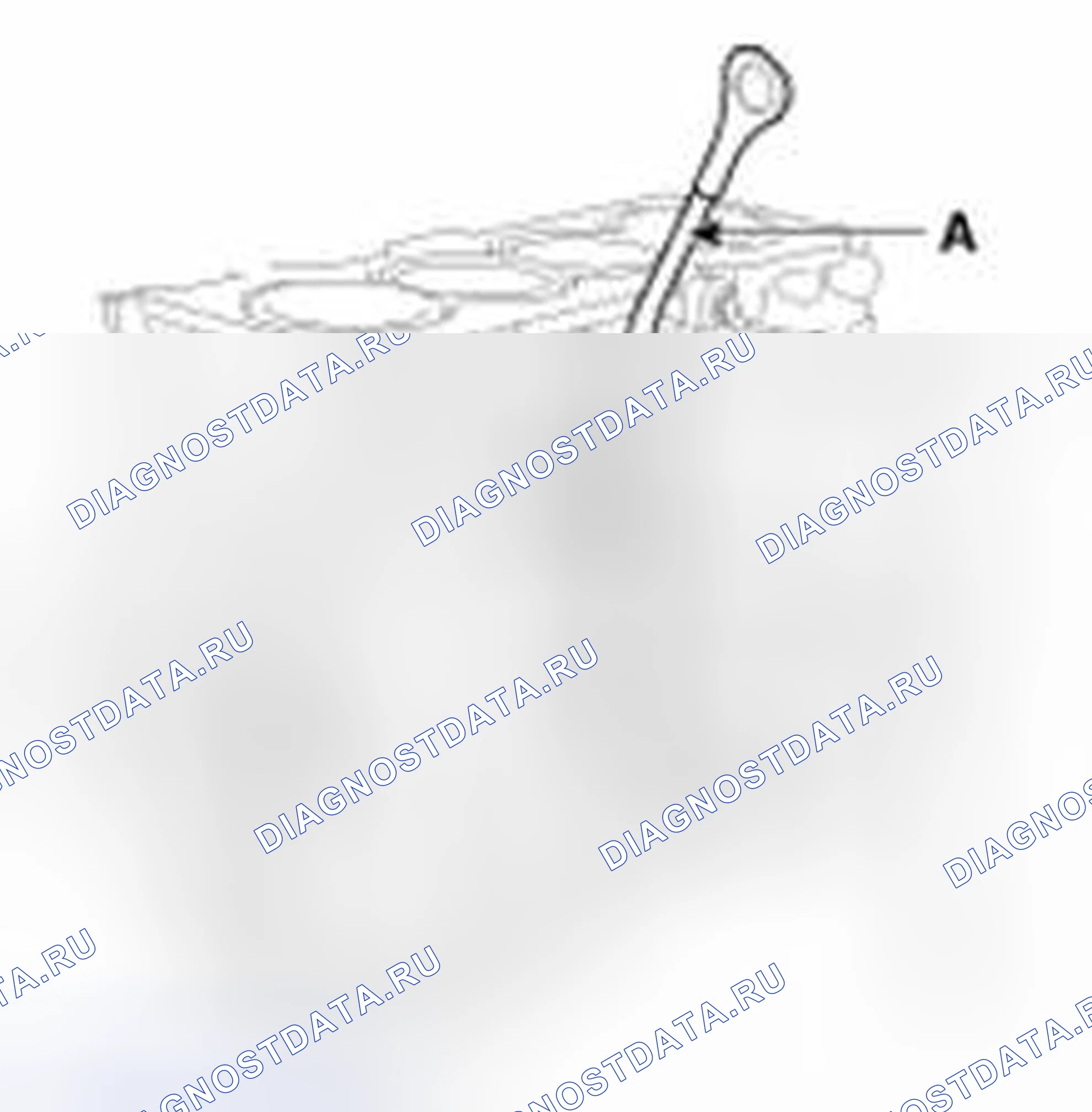Рис. 578. Haval Beast (Shenshou) I