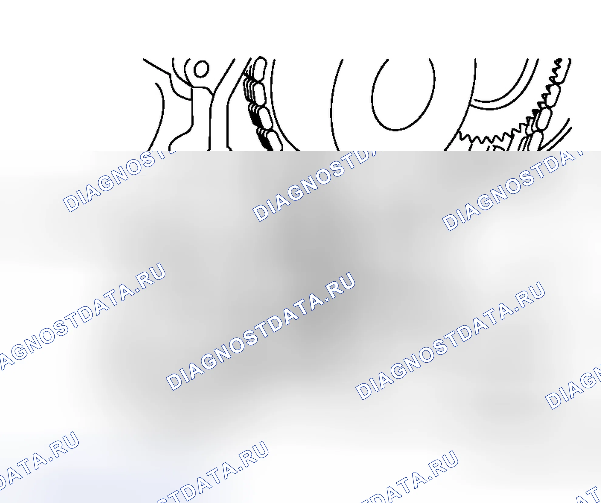 Рис. 249. Honda Stepwgn I