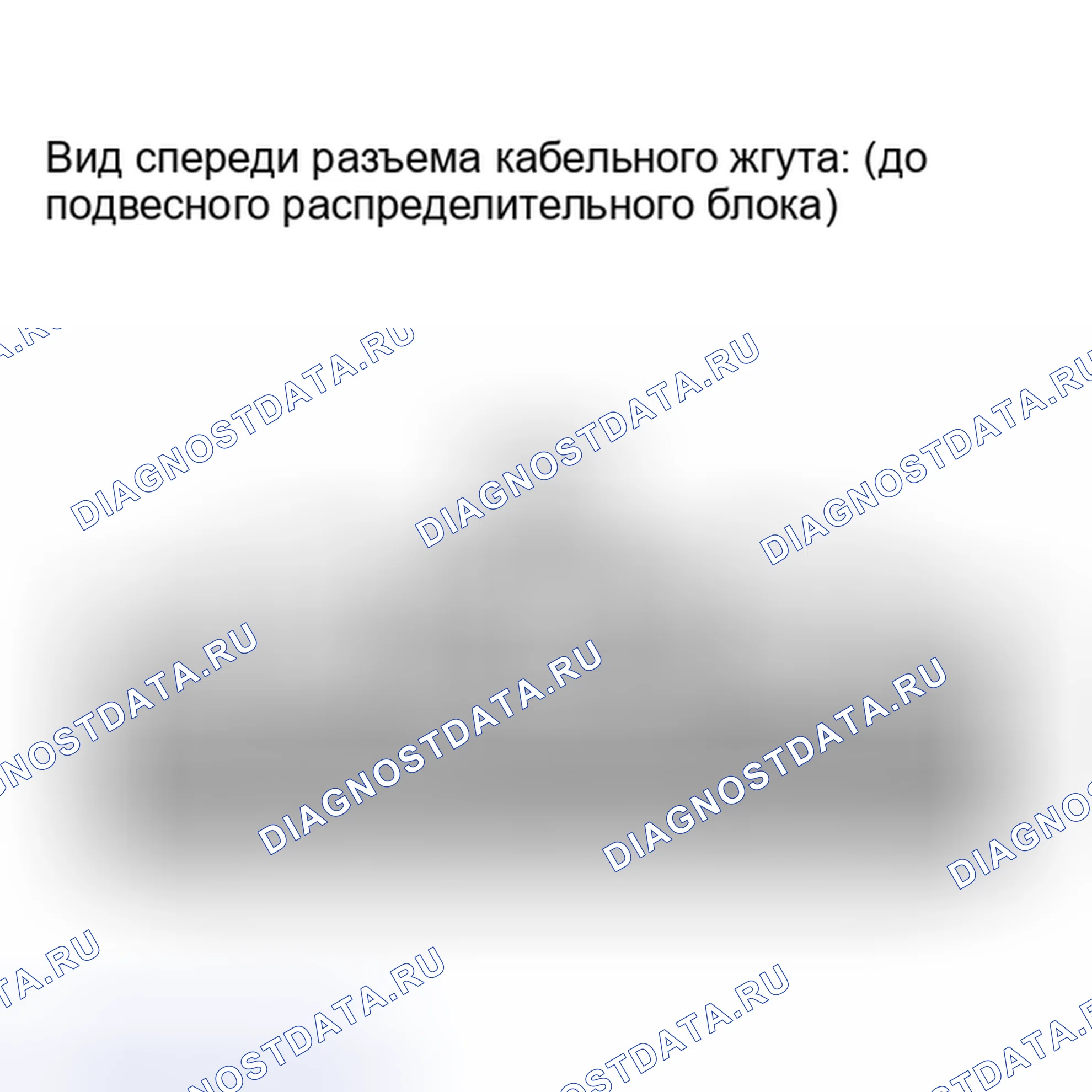 Рис. 128. Lexus IS F I