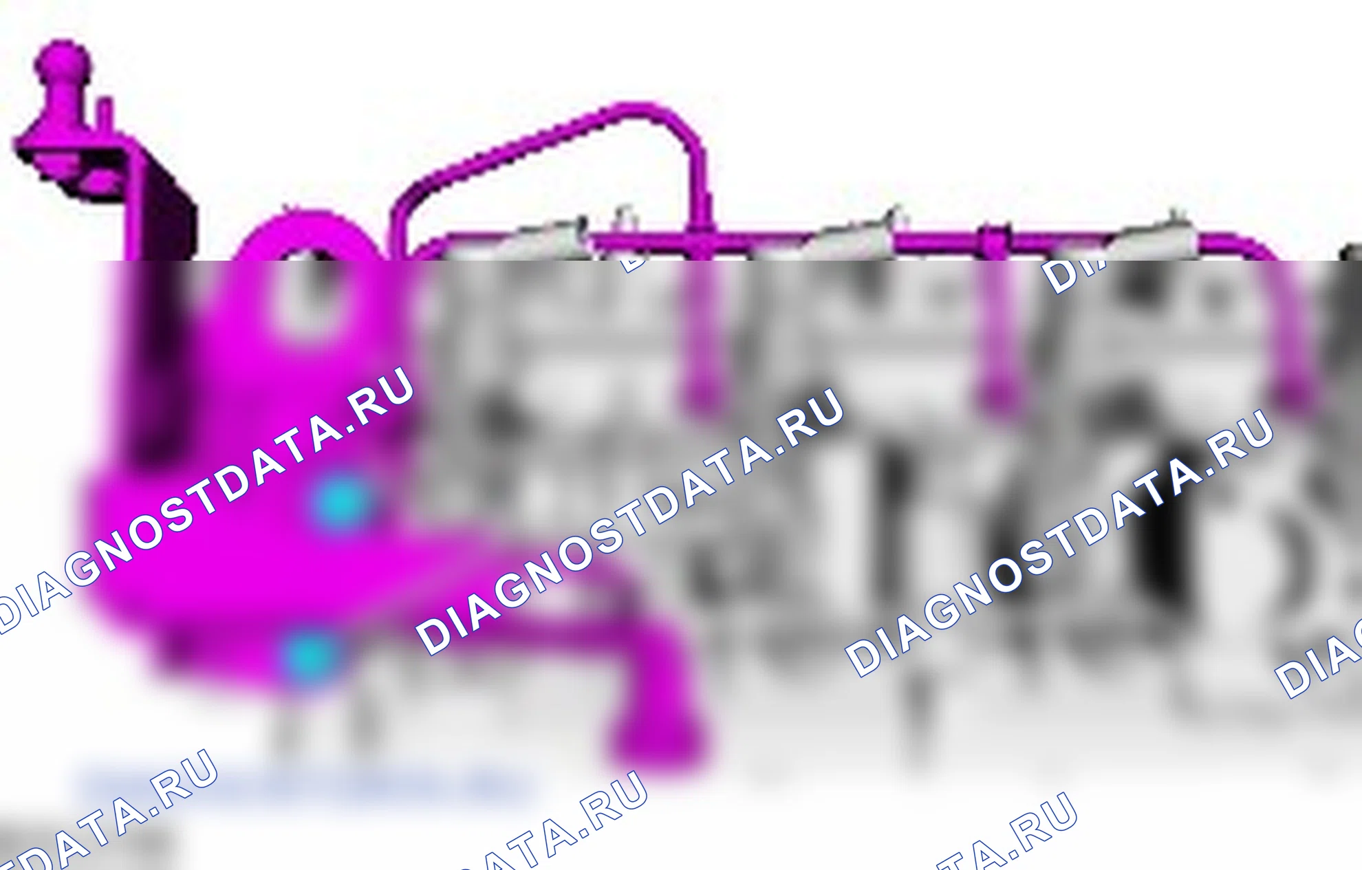 Разборка узла головки цилиндров. Ford C-MAX I рестайлинг