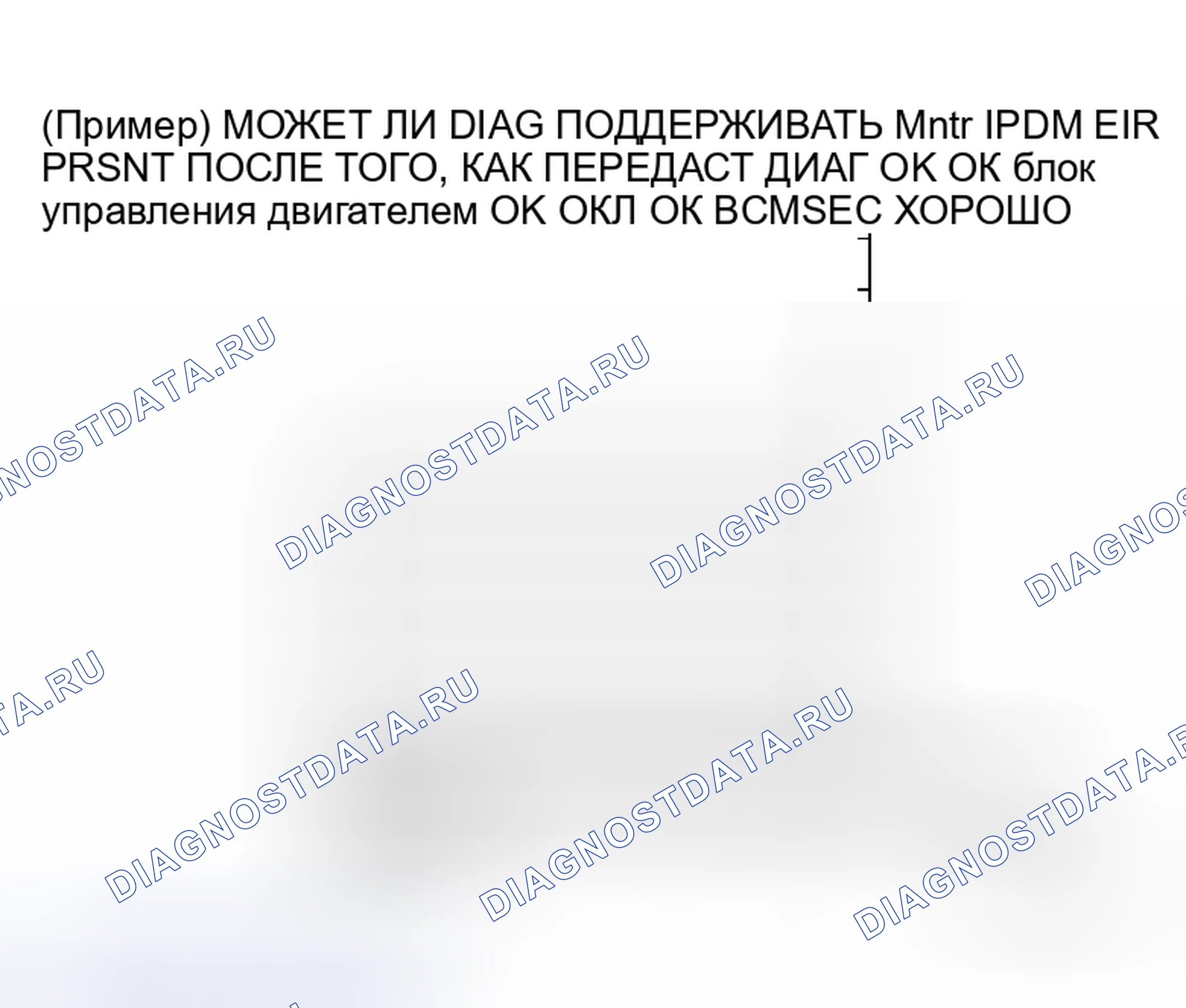 Рис. 24: ОПИСАНИЕ ЭКРАНА " CAN DIAG SUPPORT Mntr " ДЛЯ IPDM E / R. Honda NSX I