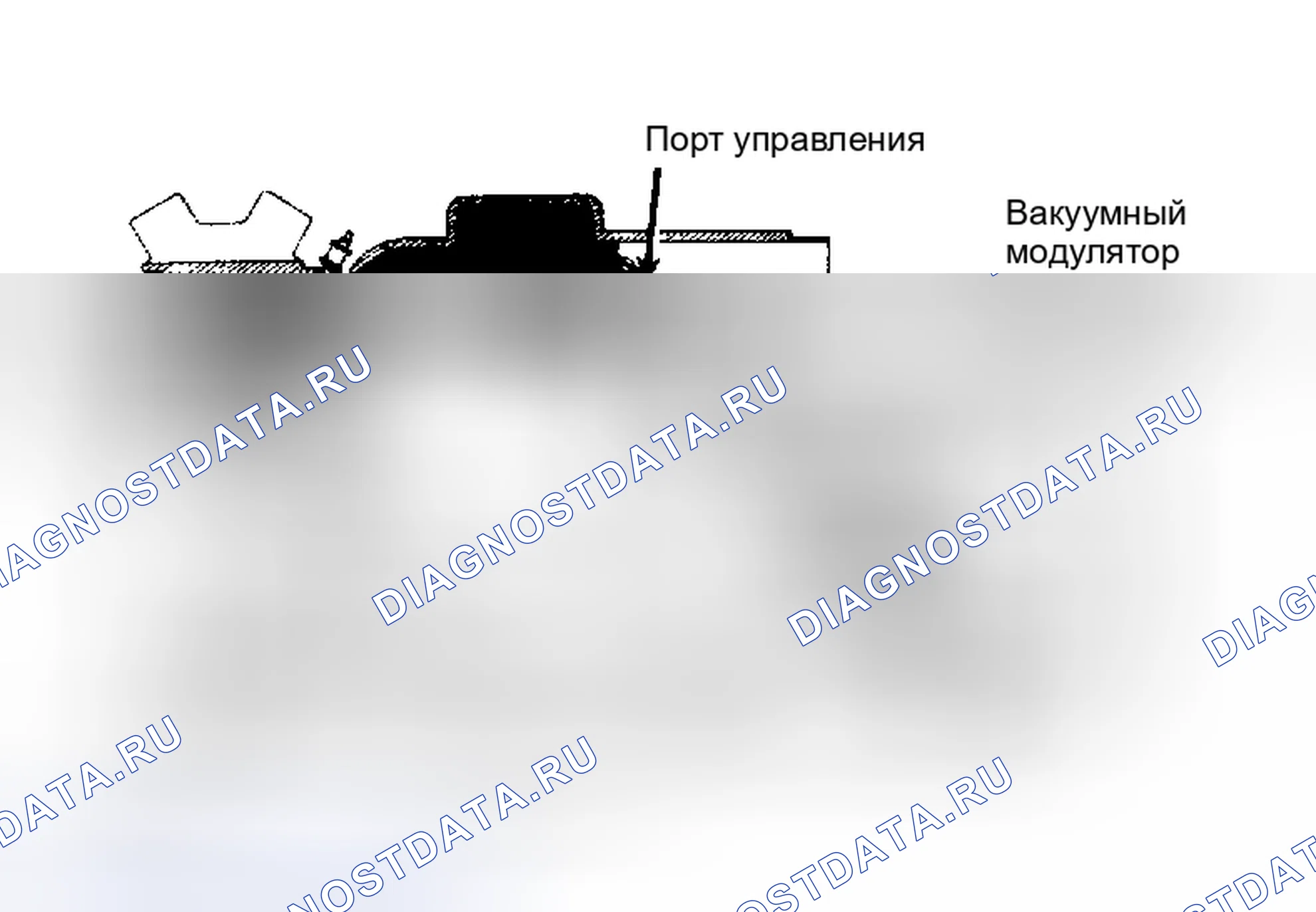 Рис. 24: Крессида и Супра. Toyota Celica A60