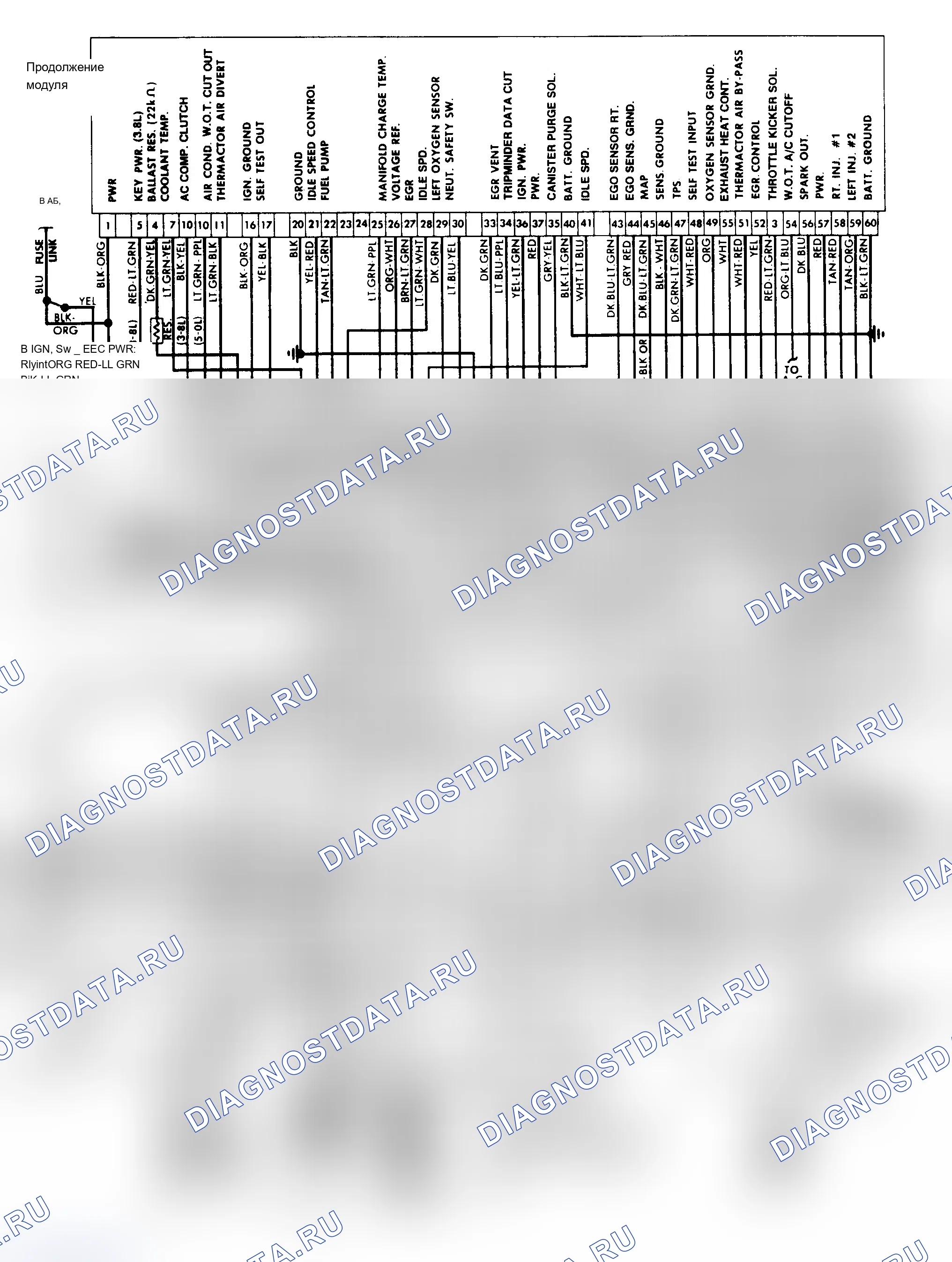 Рис. 100: 3.8L Схема подключения CFI EEC-IV. Mercury Cougar VI