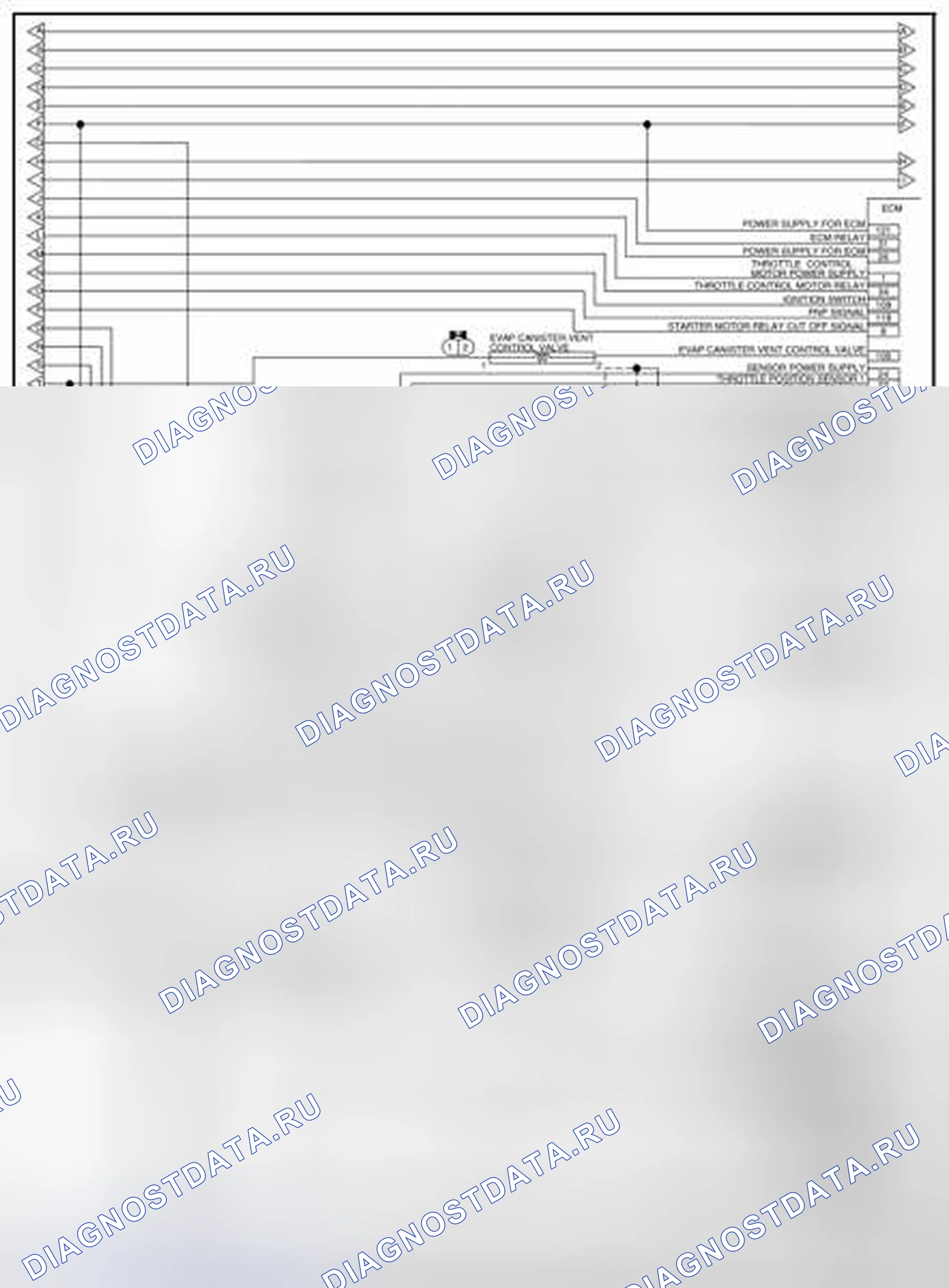 Рис. 5. Nissan Quest IV