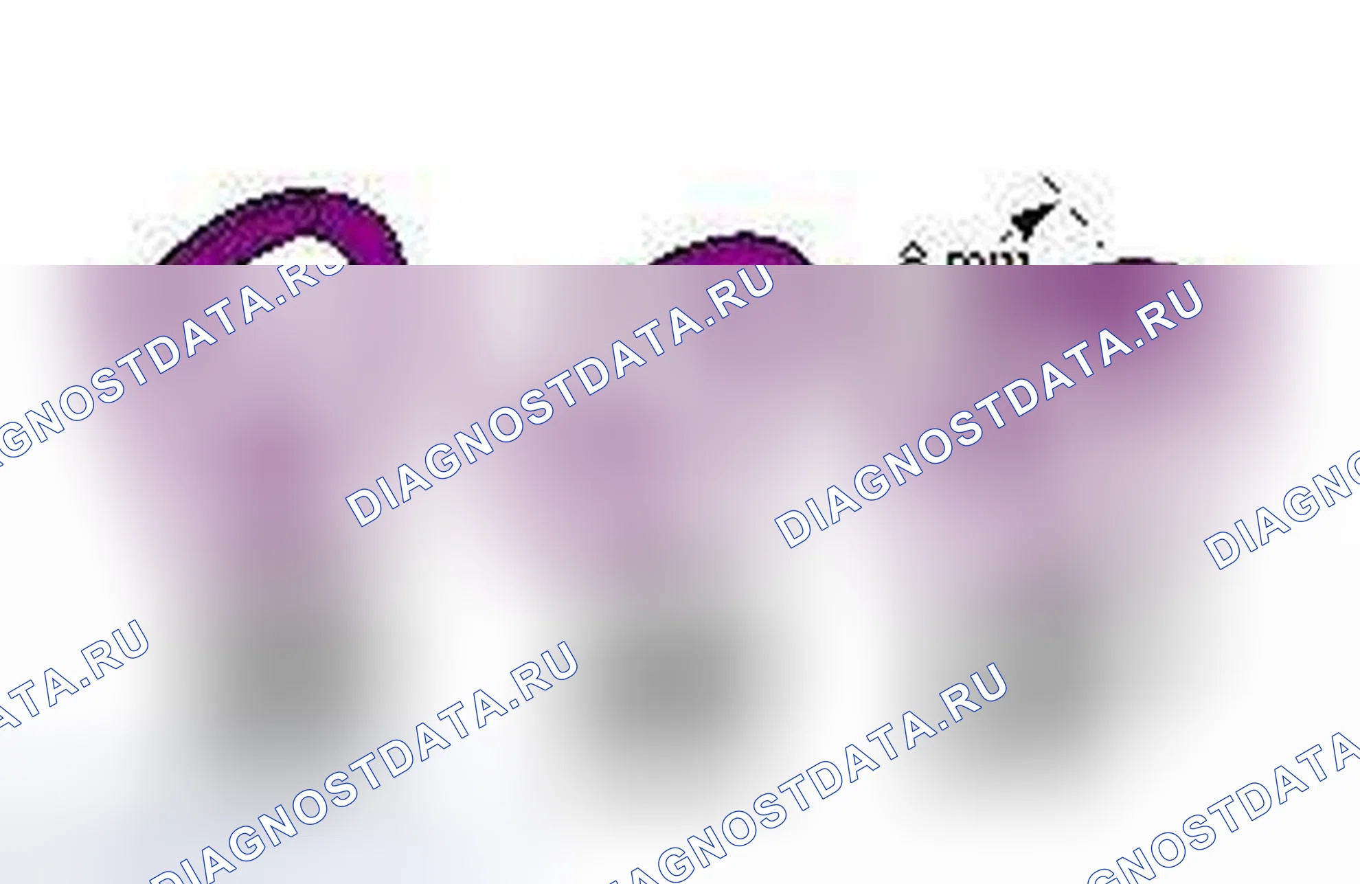 Рис. 81. Jaguar XJ X351