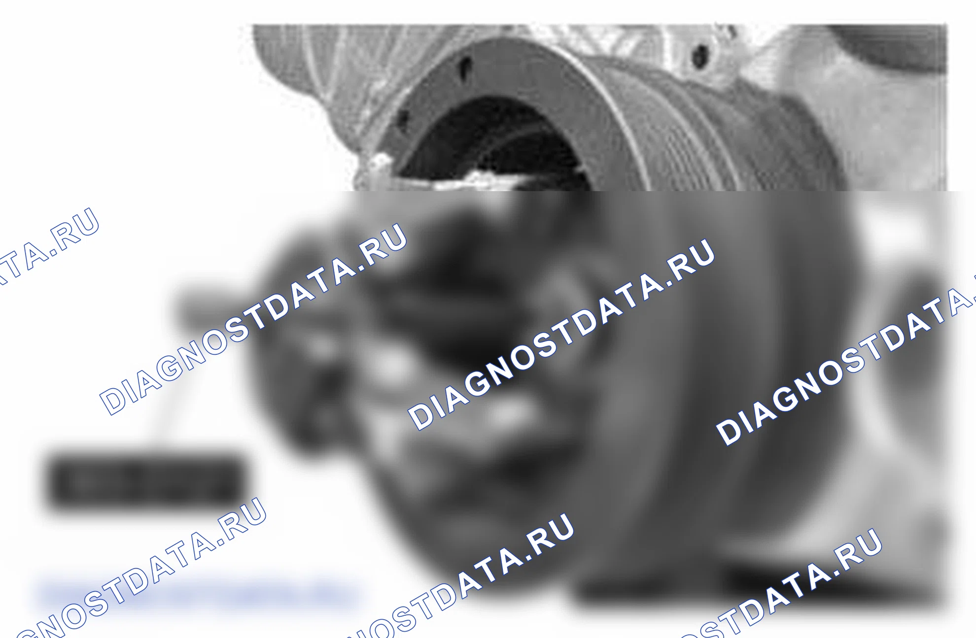 Рис. 878. Ford Mustang V рестайлинг