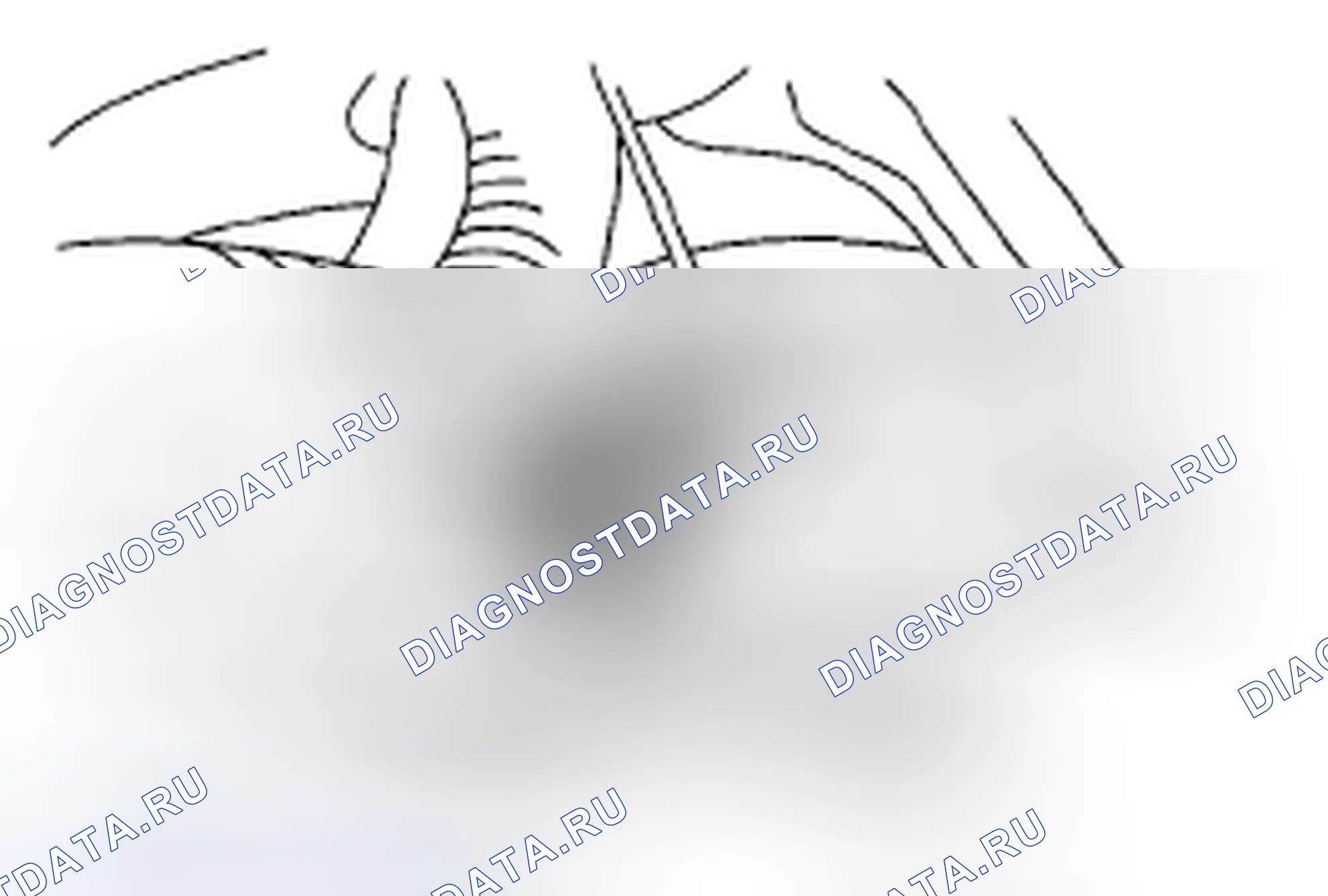 Рис. 153. Subaru Outback BP рестайлинг
