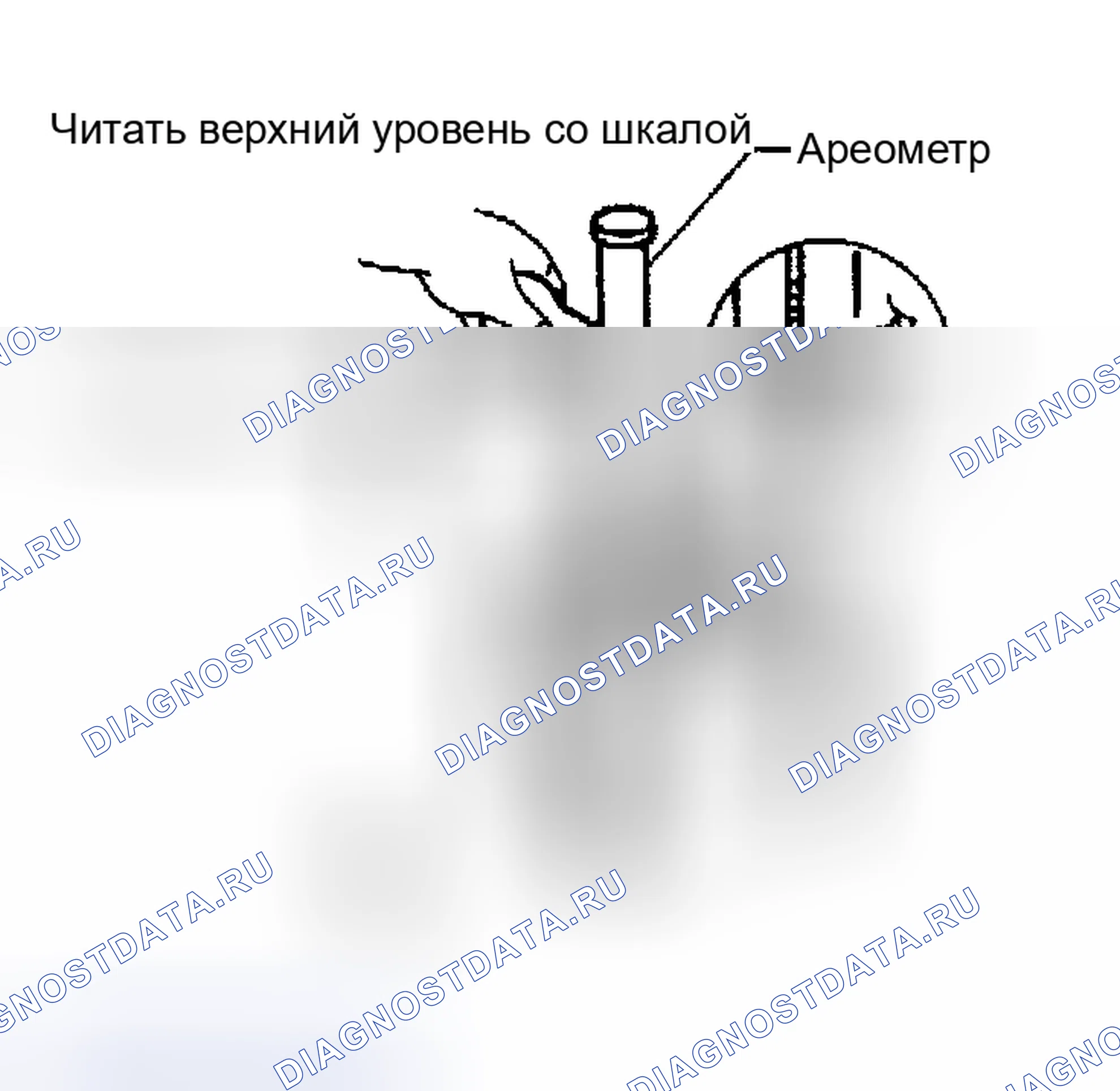 Рис. 62: ПРОВЕРКА УДЕЛЬНОГО ВЕСА. Nissan Altima L31
