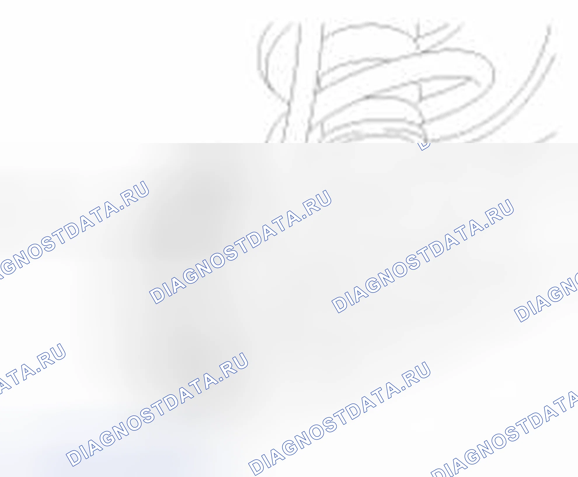 Рис. 42: Задний. Geely SC7 I