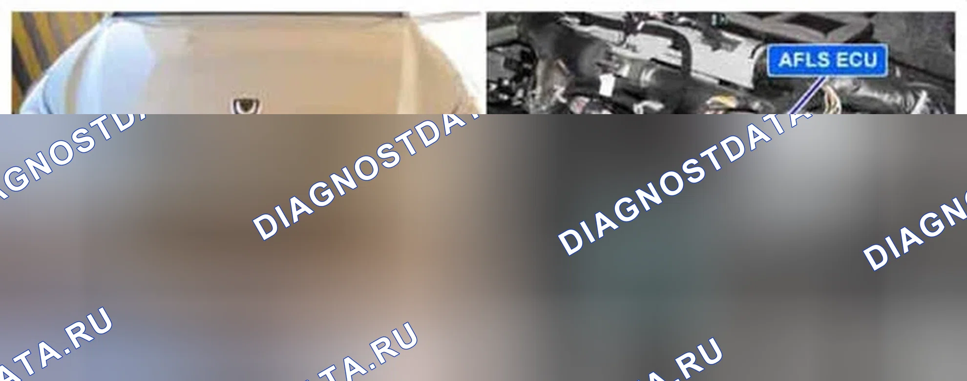 Рис. 227: Расположение компонентов. Hyundai Equus II