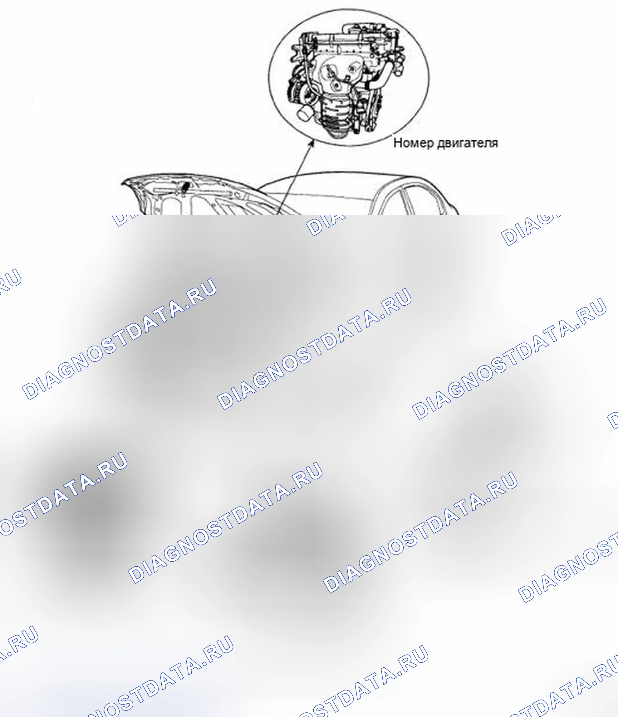 Рис. 3: РАСПОЛОЖЕНИЕ ИДЕНТИФИКАЦИОННЫХ НОМЕРОВ. Hyundai Accent III