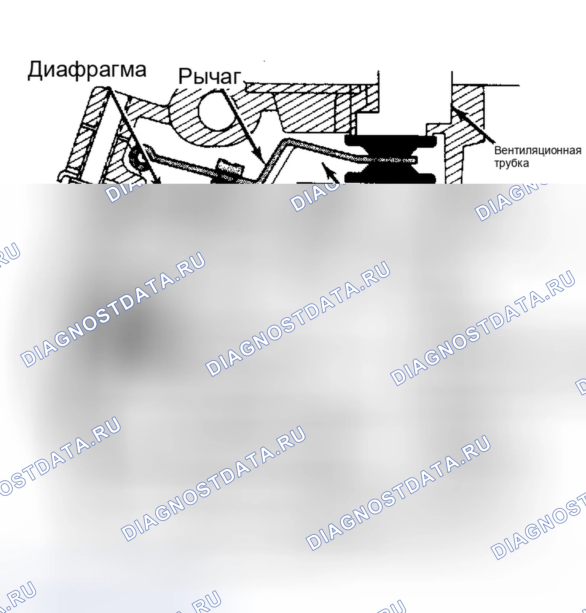 Рис. 8: Эксплуатационные испытания выпускного клапана. Dodge Diplomat I