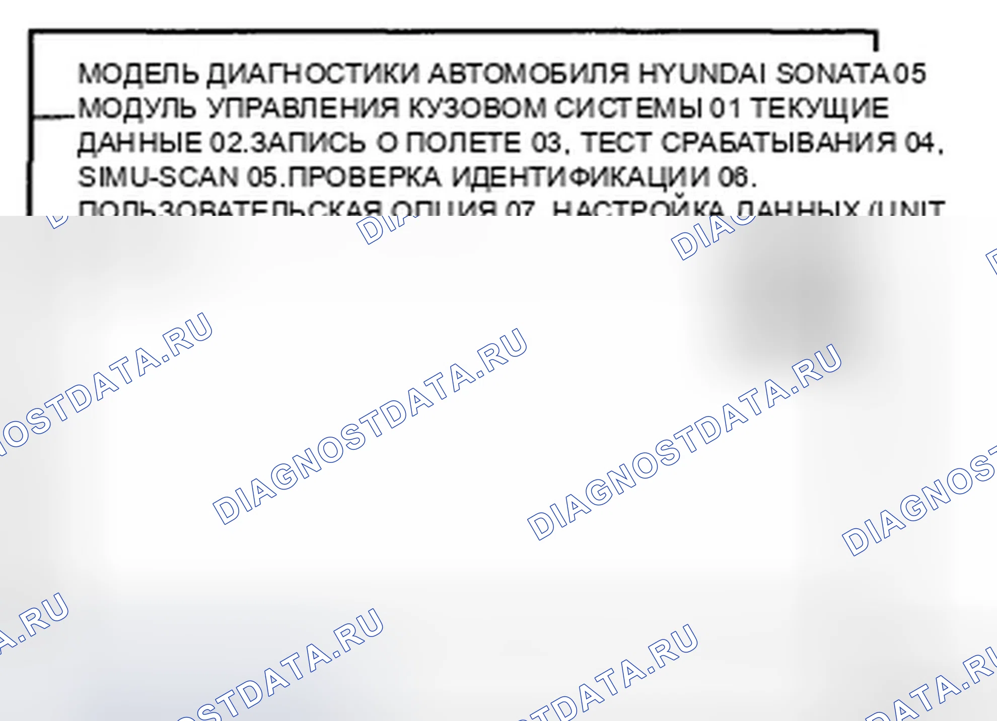 Рис. 21. Hyundai Sonata V рестайлинг