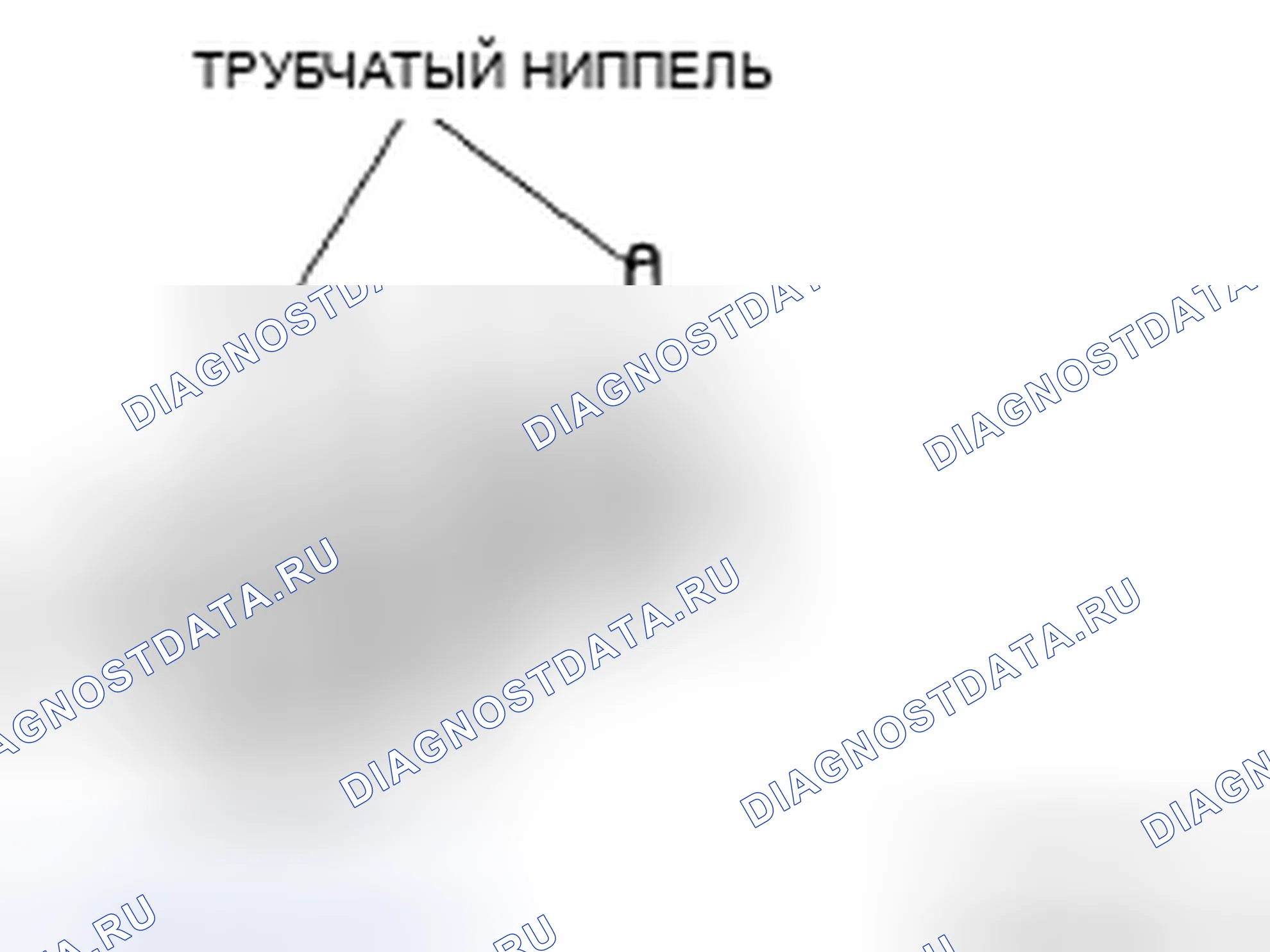 Рис. 805: Процедура сборки. Honda CR-V IV
