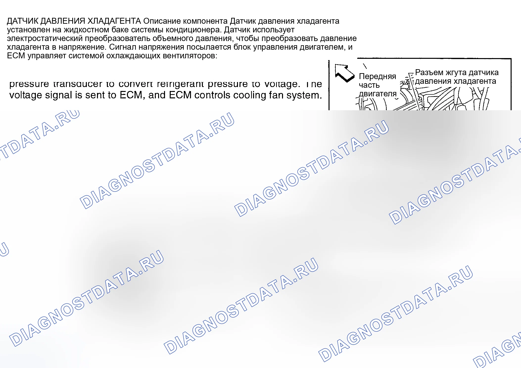 Рис. 176: Altima 3.5L. Nissan Sentra B15