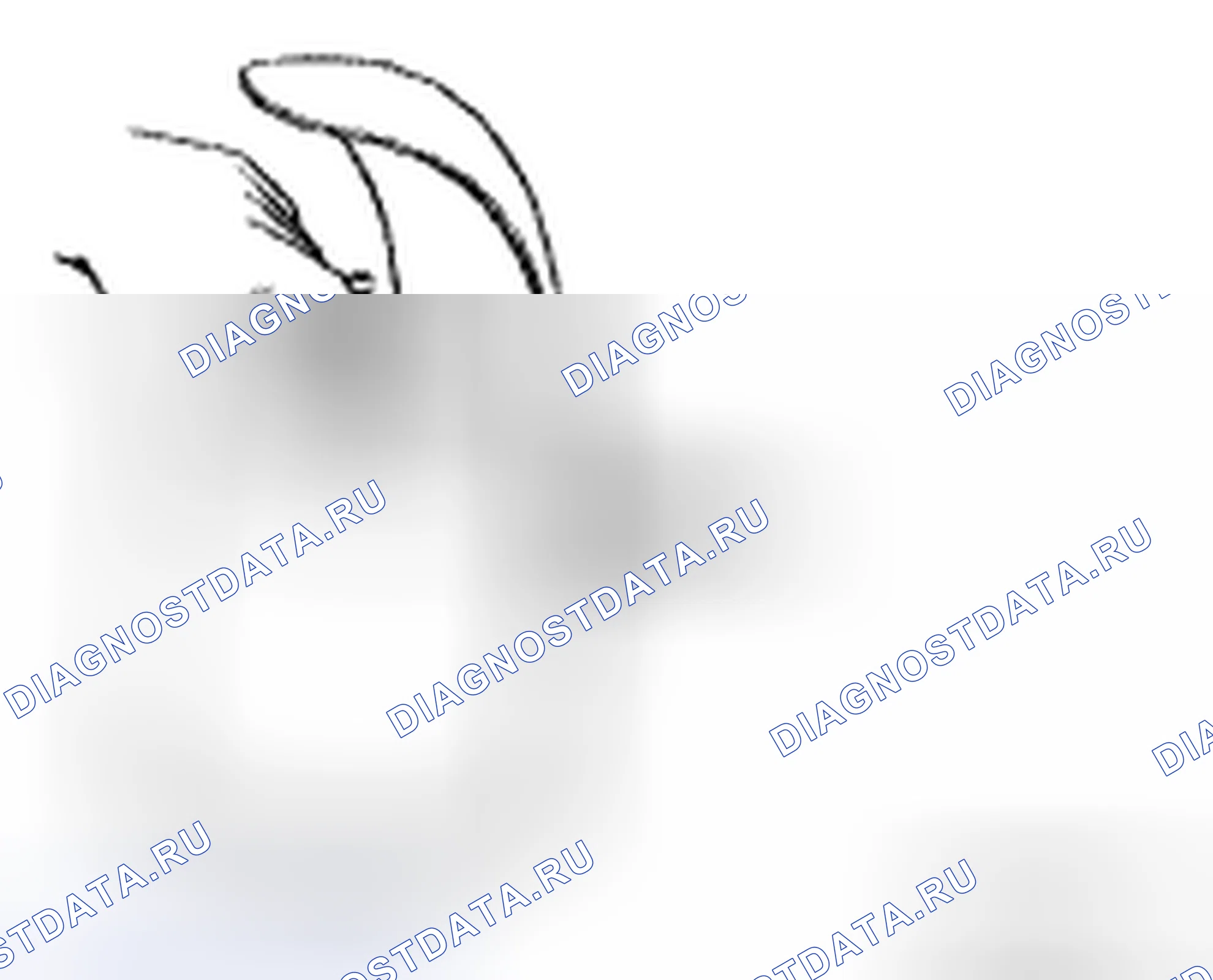Рис. 10. Toyota Camry XV40