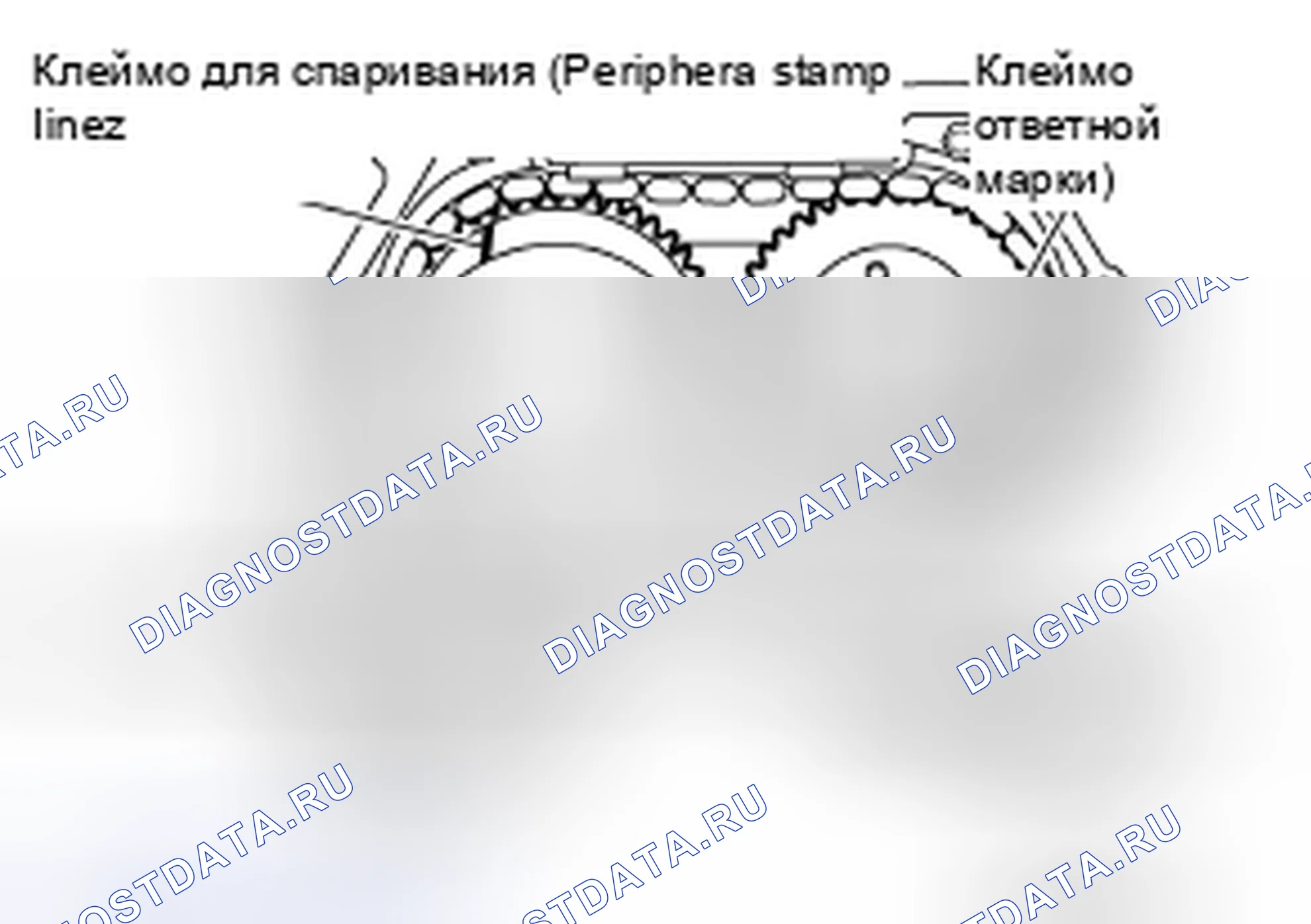 Рис. 565. Nissan Altima L32 рестайлинг