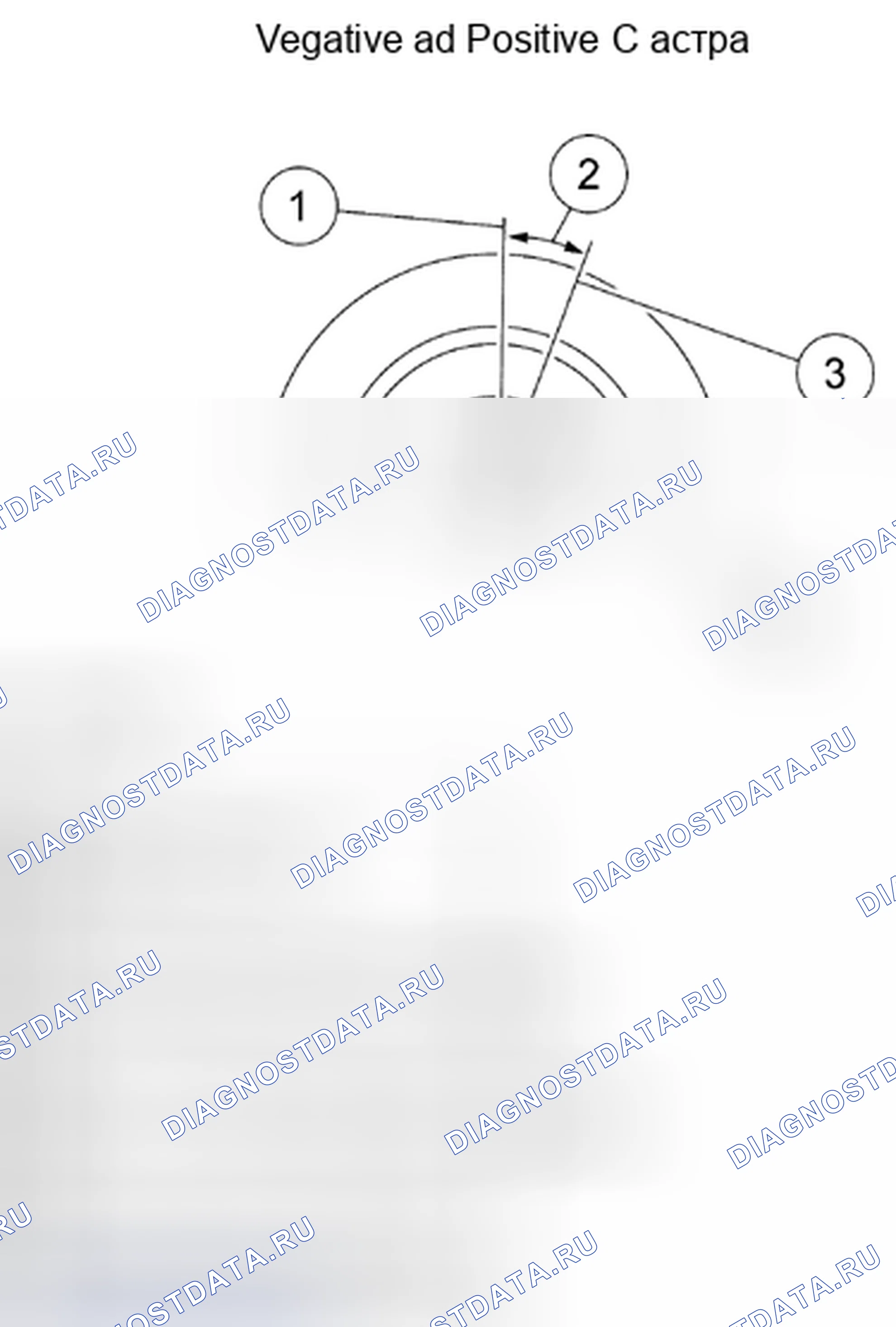 Рис. 2: Литник. Mazda Tribute II