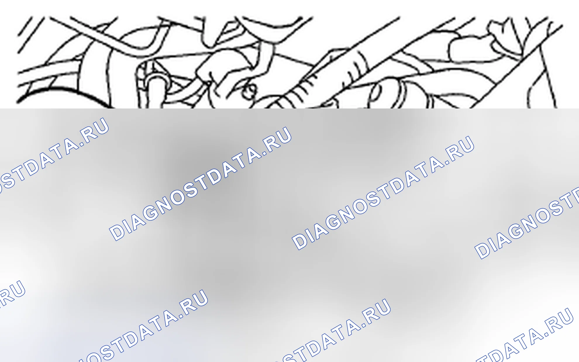 Рис. 208. Subaru Outback BR рестайлинг