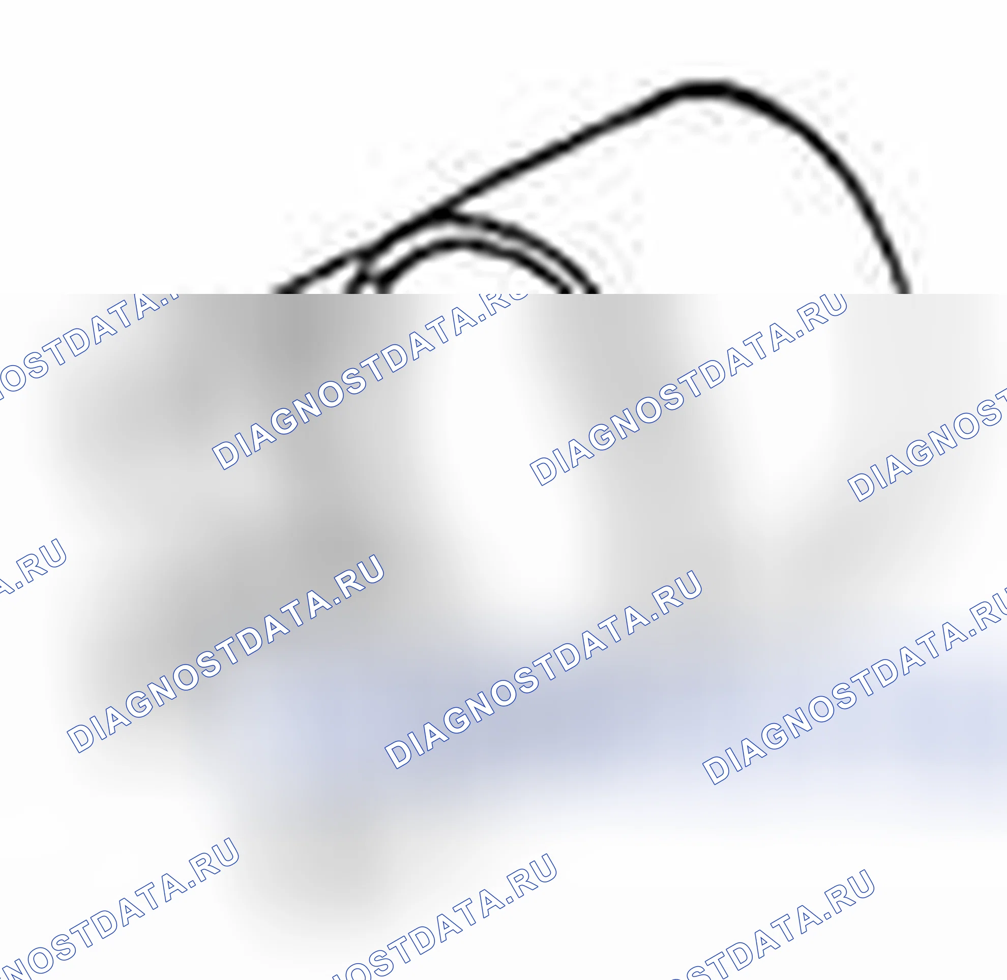 Рис. 232. Suzuki Equator I