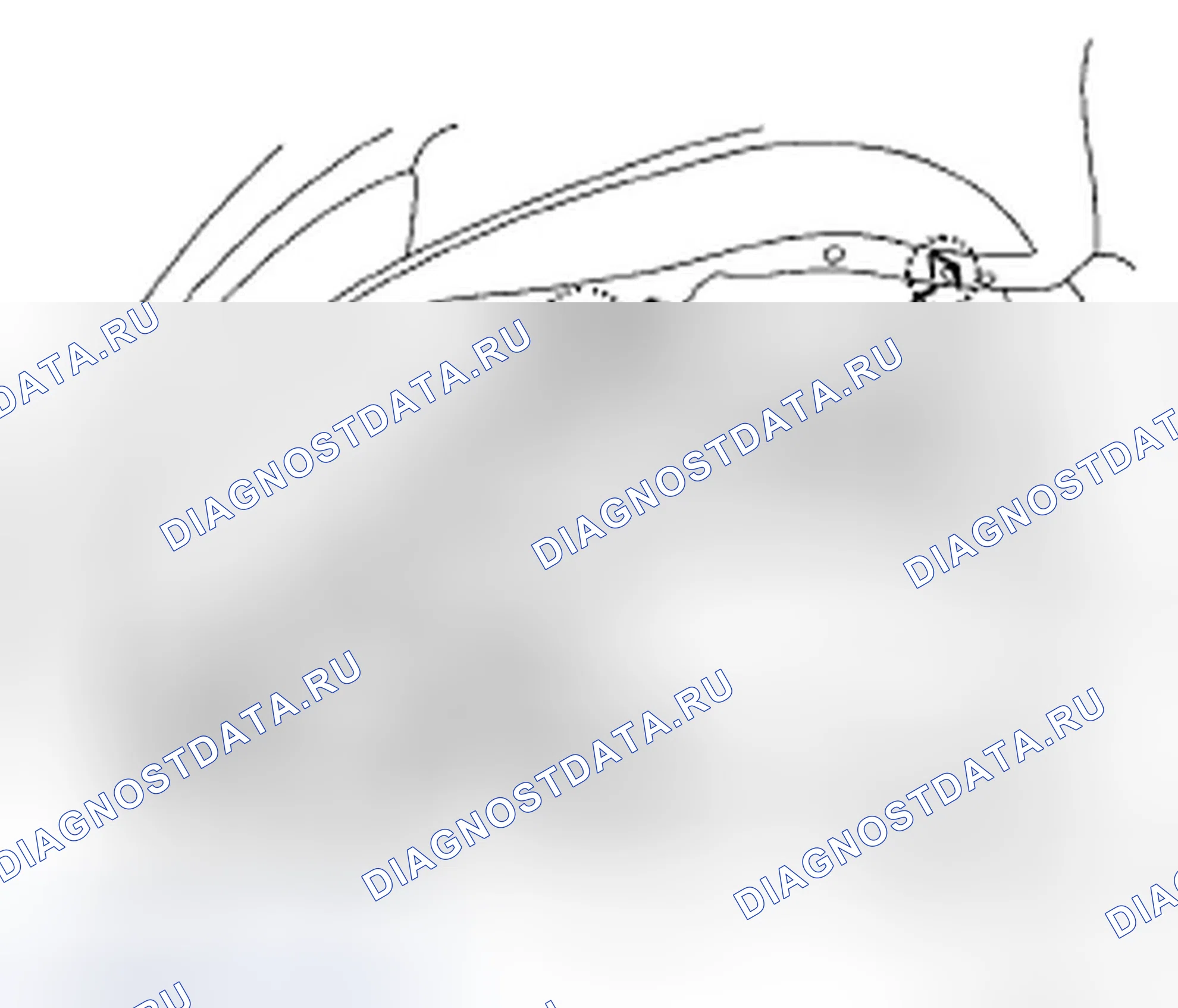 Рис. 61. Honda Accord VII рестайлинг