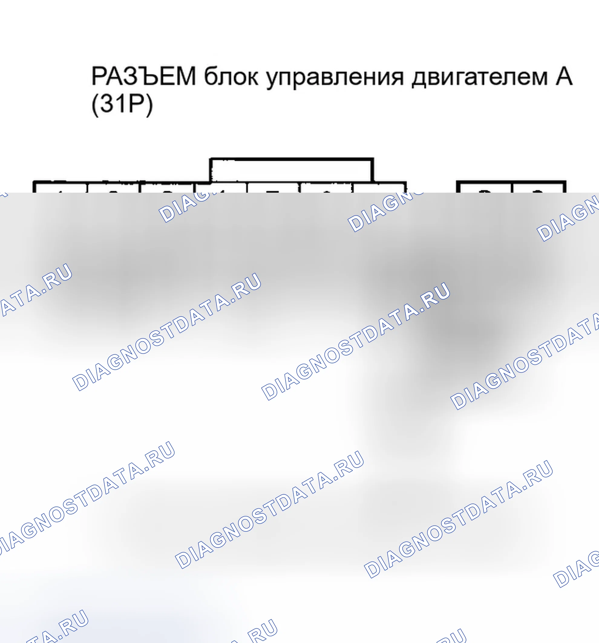 Рис. 152. Honda Element YH2