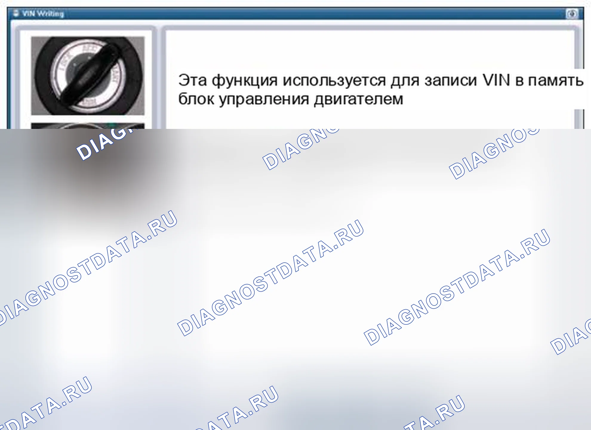 Рис. 43: [VIN Письменная форма 1]. BMW 6 серия F06/F13/F12
