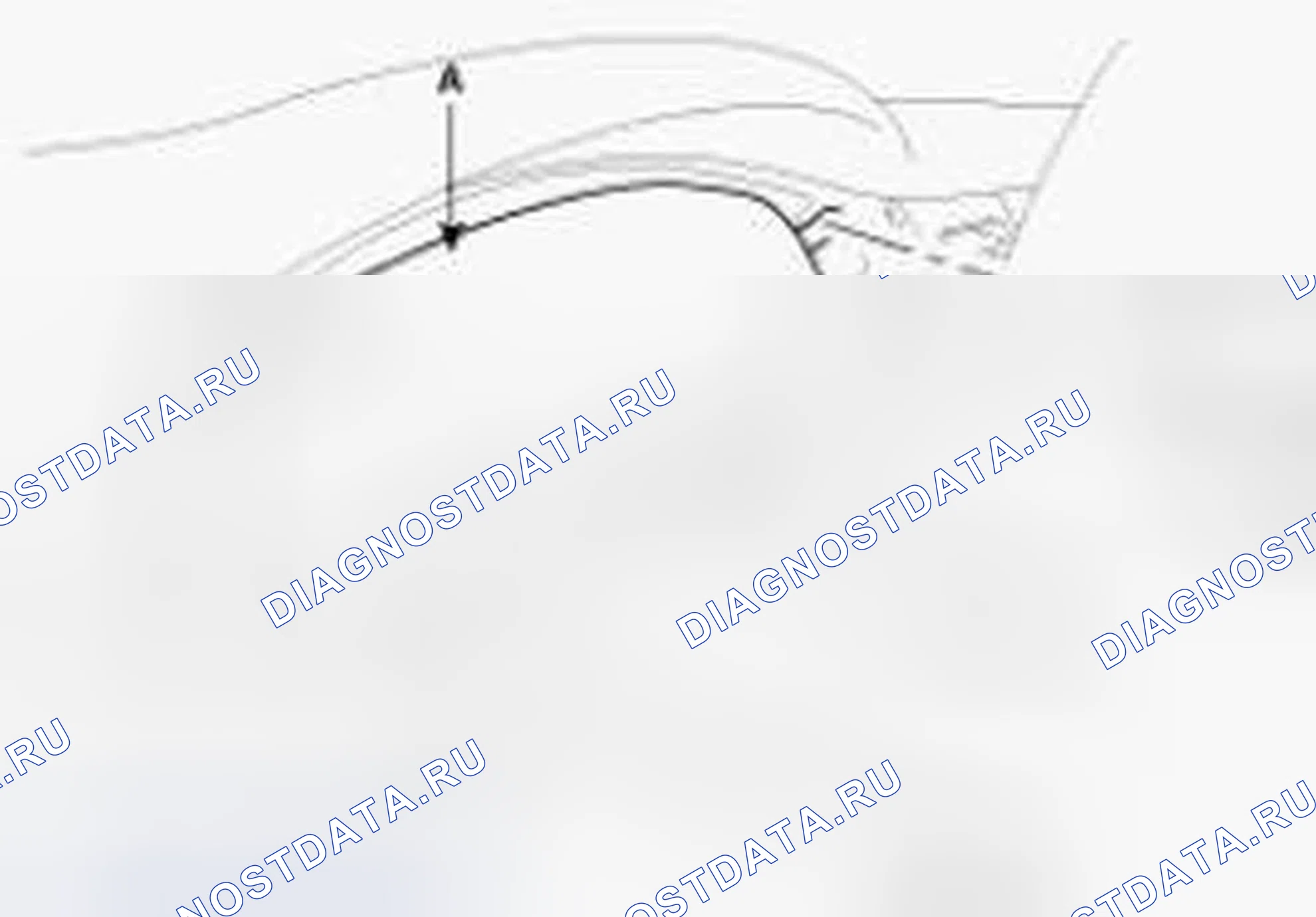 Рис. 275. Hyundai Genesis I рестайлинг