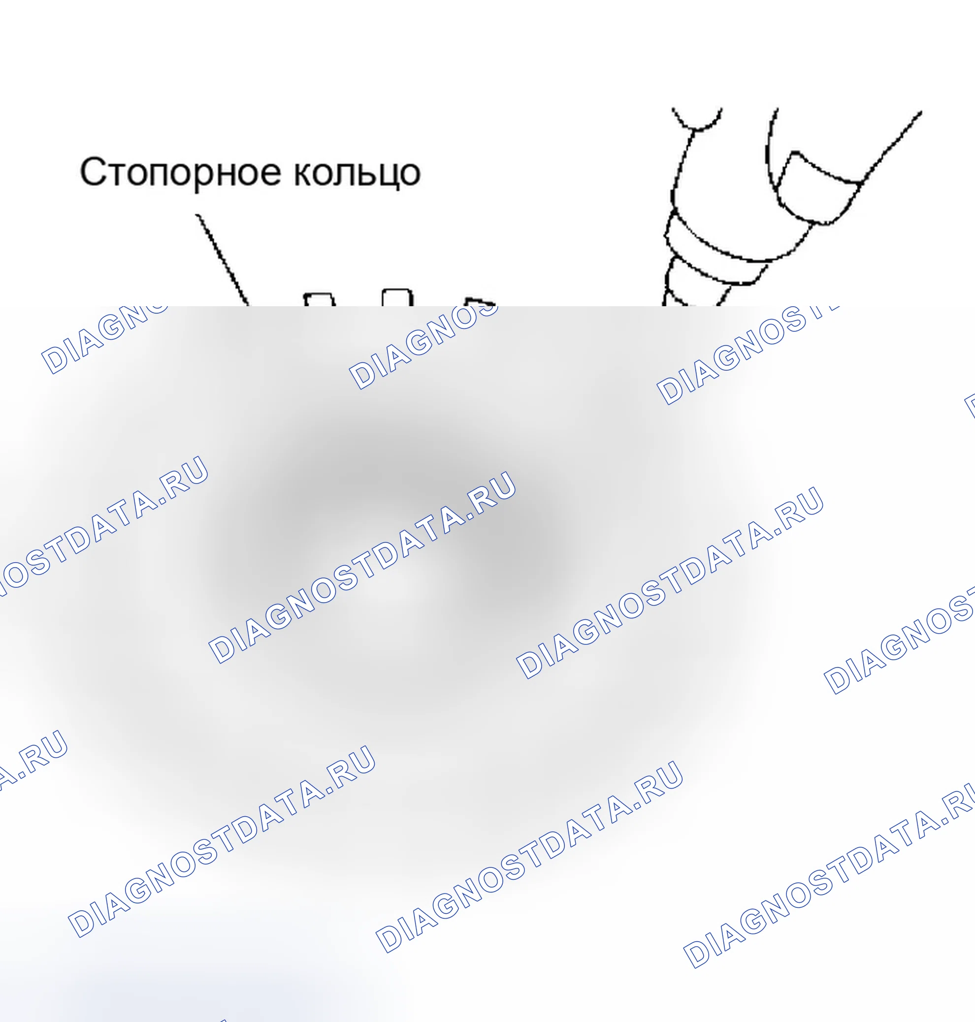 Рис. 656: СБОРКА. Infiniti M45 II