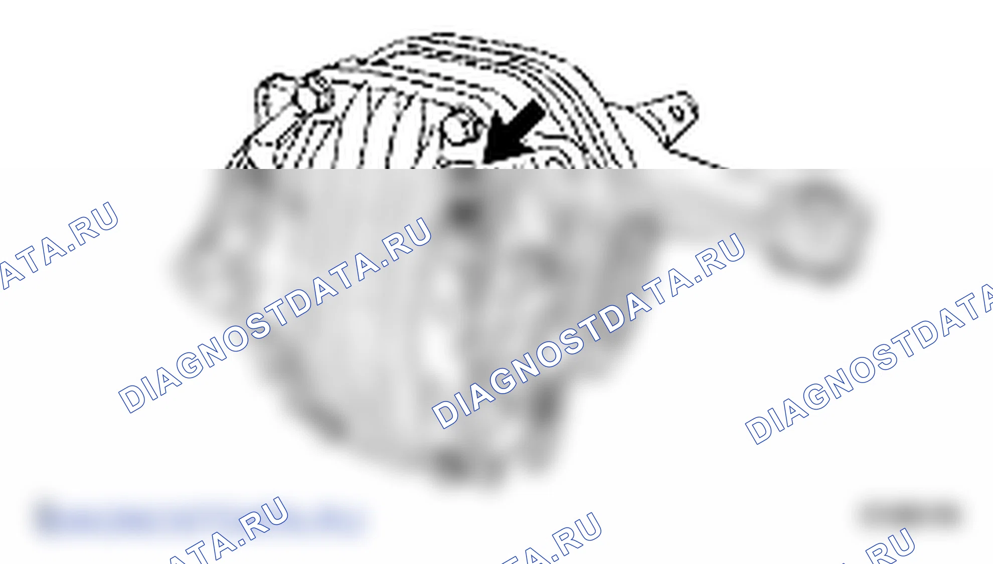 Рис. 84: РАЗБОРКА. Lexus LS IV