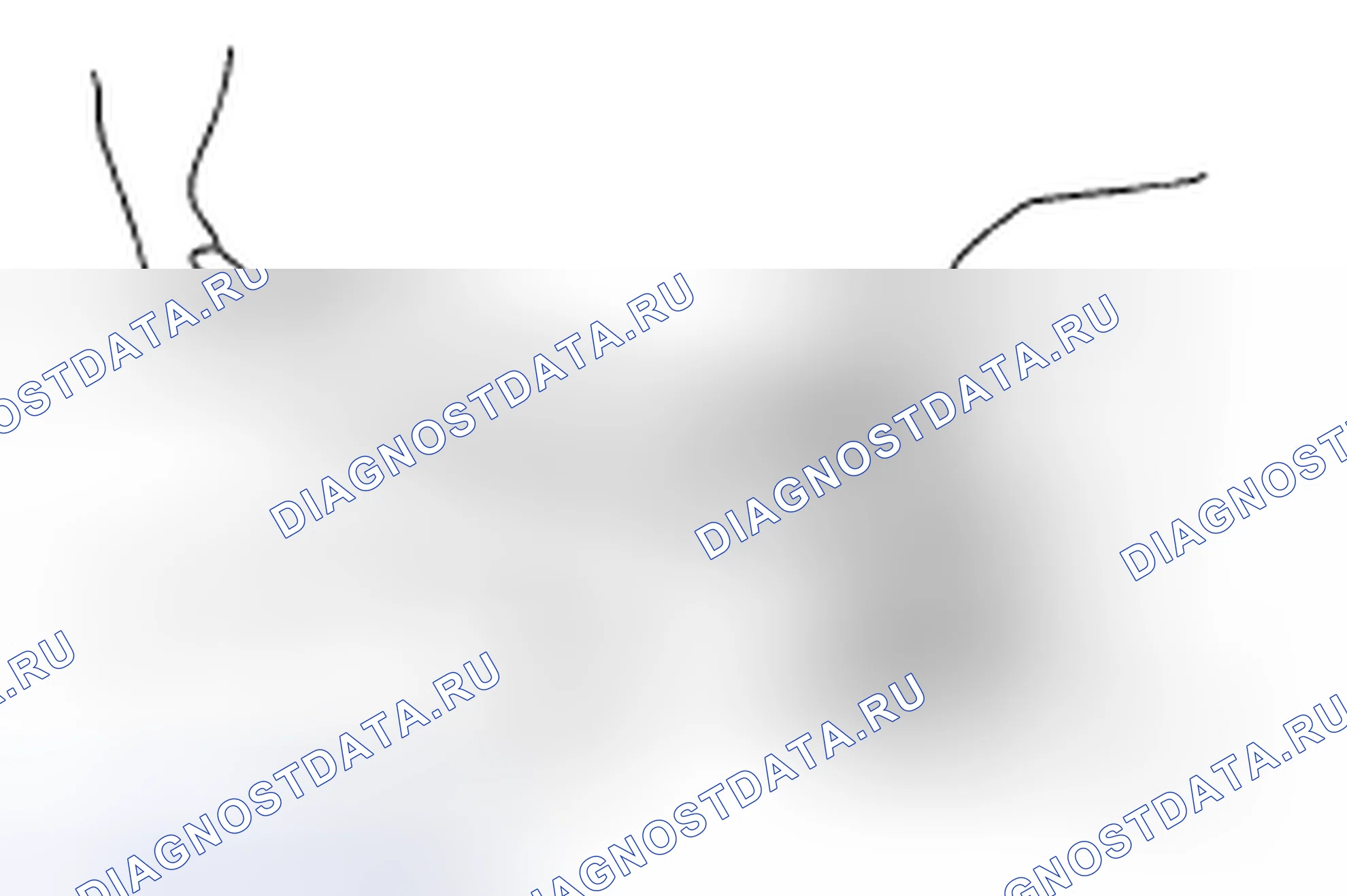 Рис. 59. Subaru Tribeca WX рестайлинг