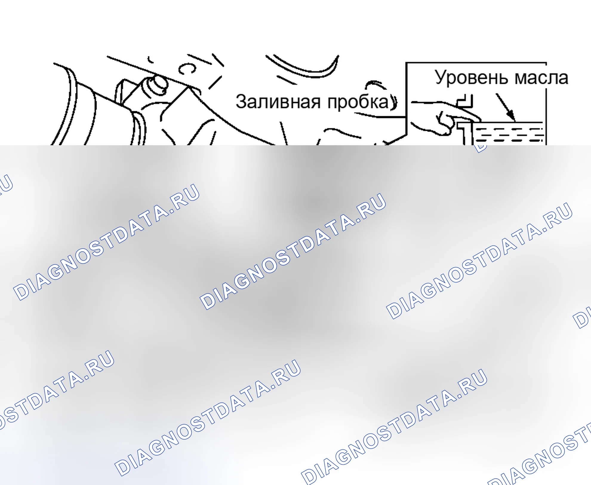 Рис. 4: ЗАПОЛНЕНИЕ. Honda Integra I