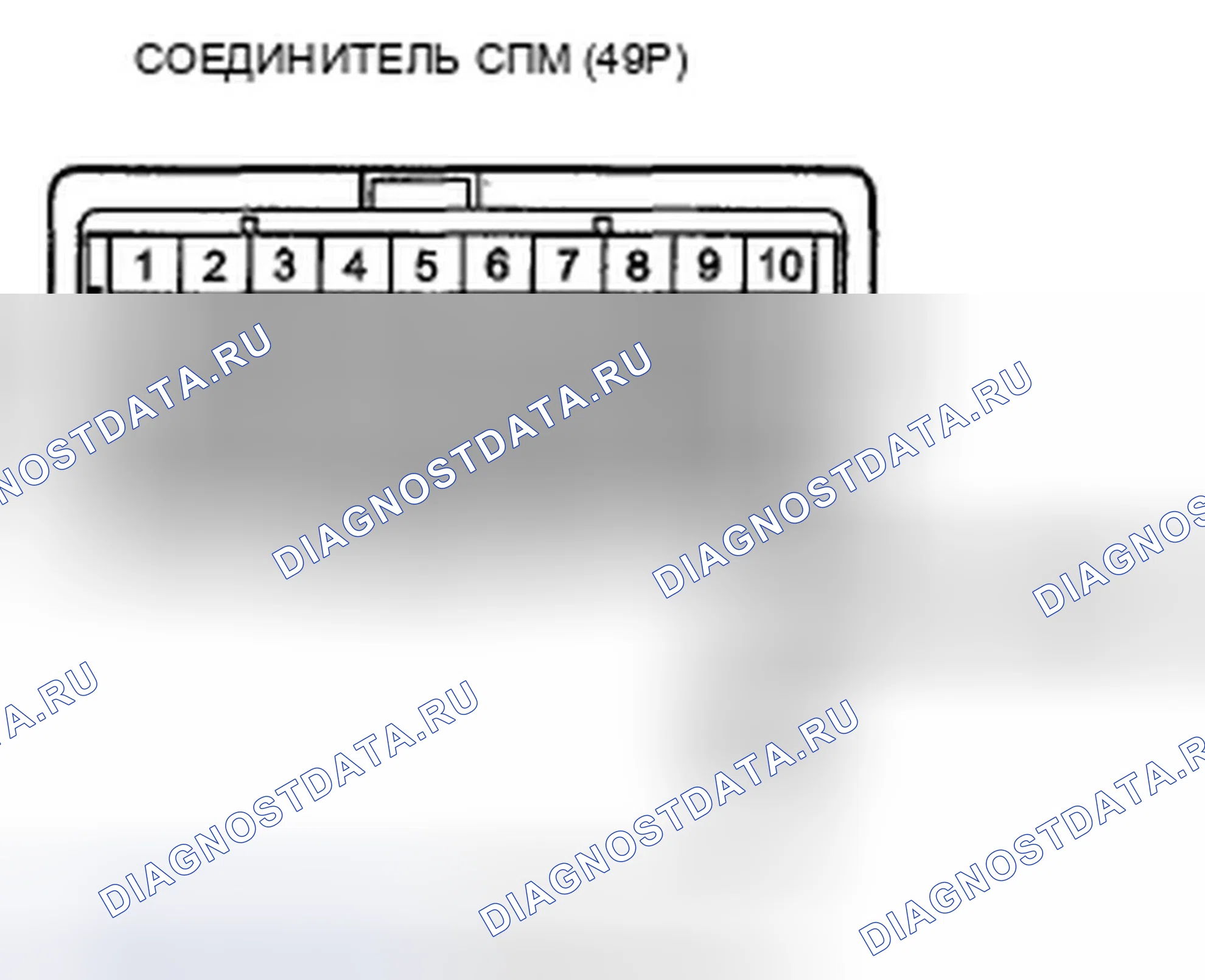 Рис. 501. Honda Crosstour I