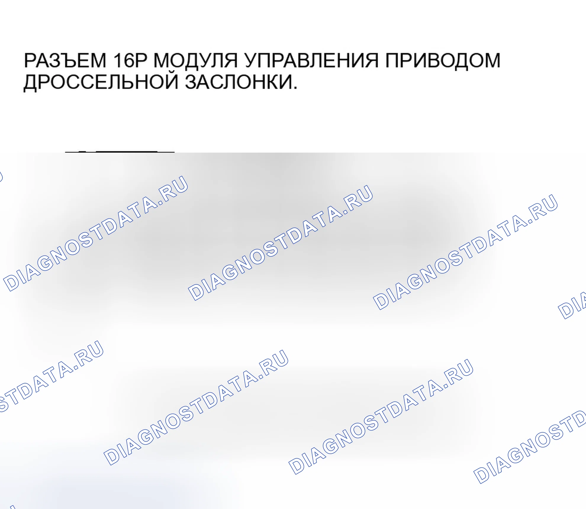 Рис. 760. Honda Accord VII рестайлинг