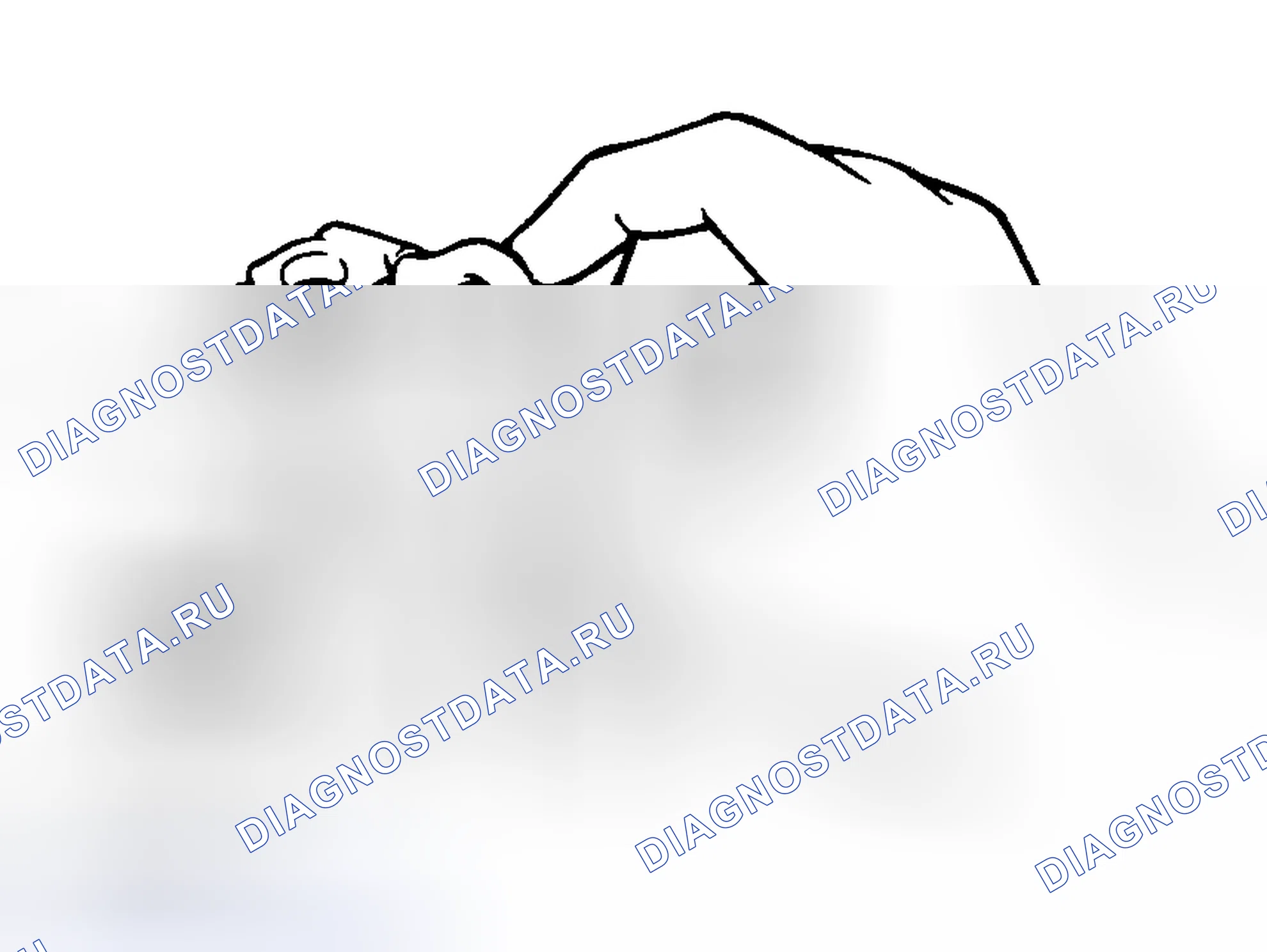 Рис. 276. Mazda MX-5 NA